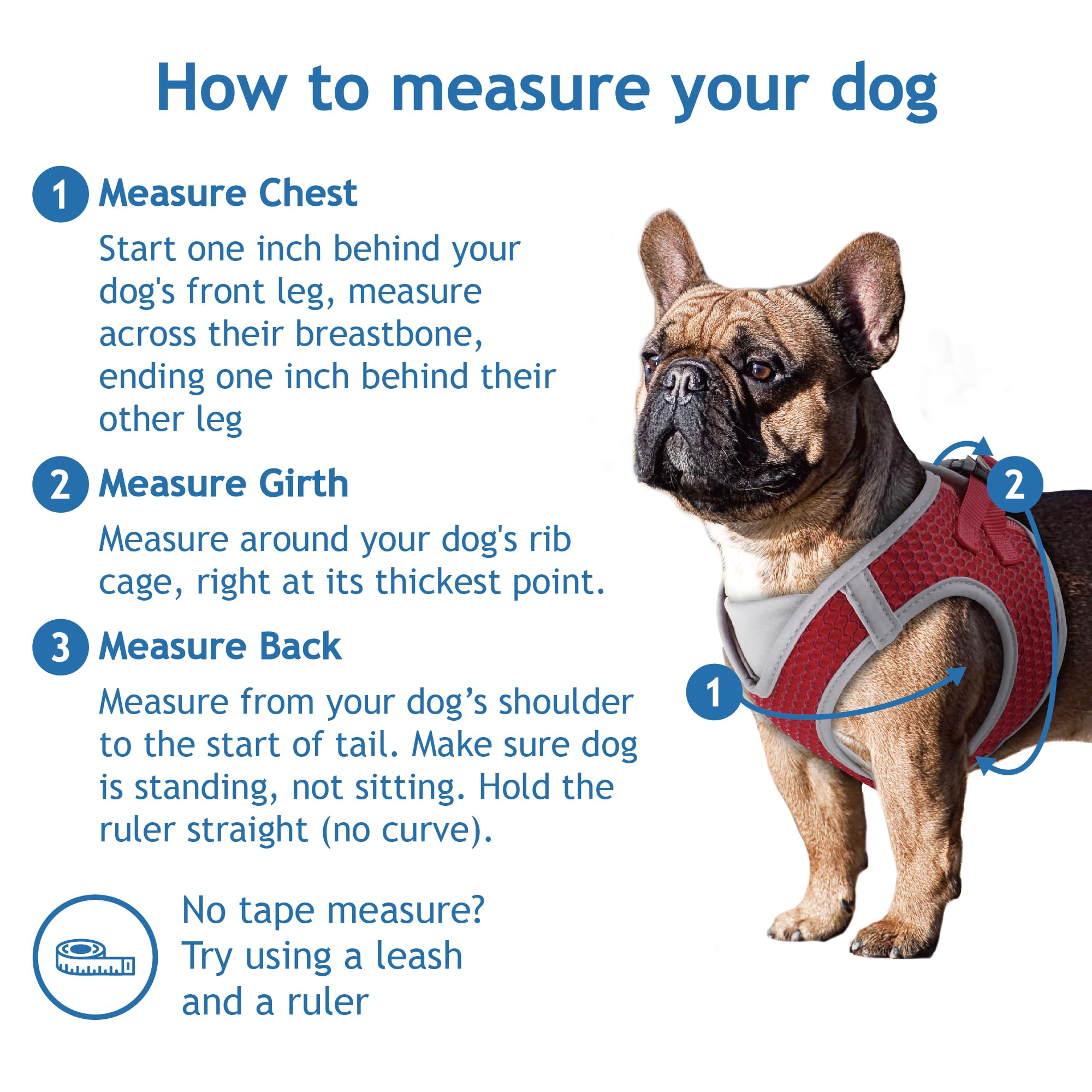 KRUZ PET Dog Harness (Chest 18.5-19.5, Weight 15-20 lbs) Athletica Adjustable Heavy Duty No Choke Puppy Vest for Small Dogs Ligh