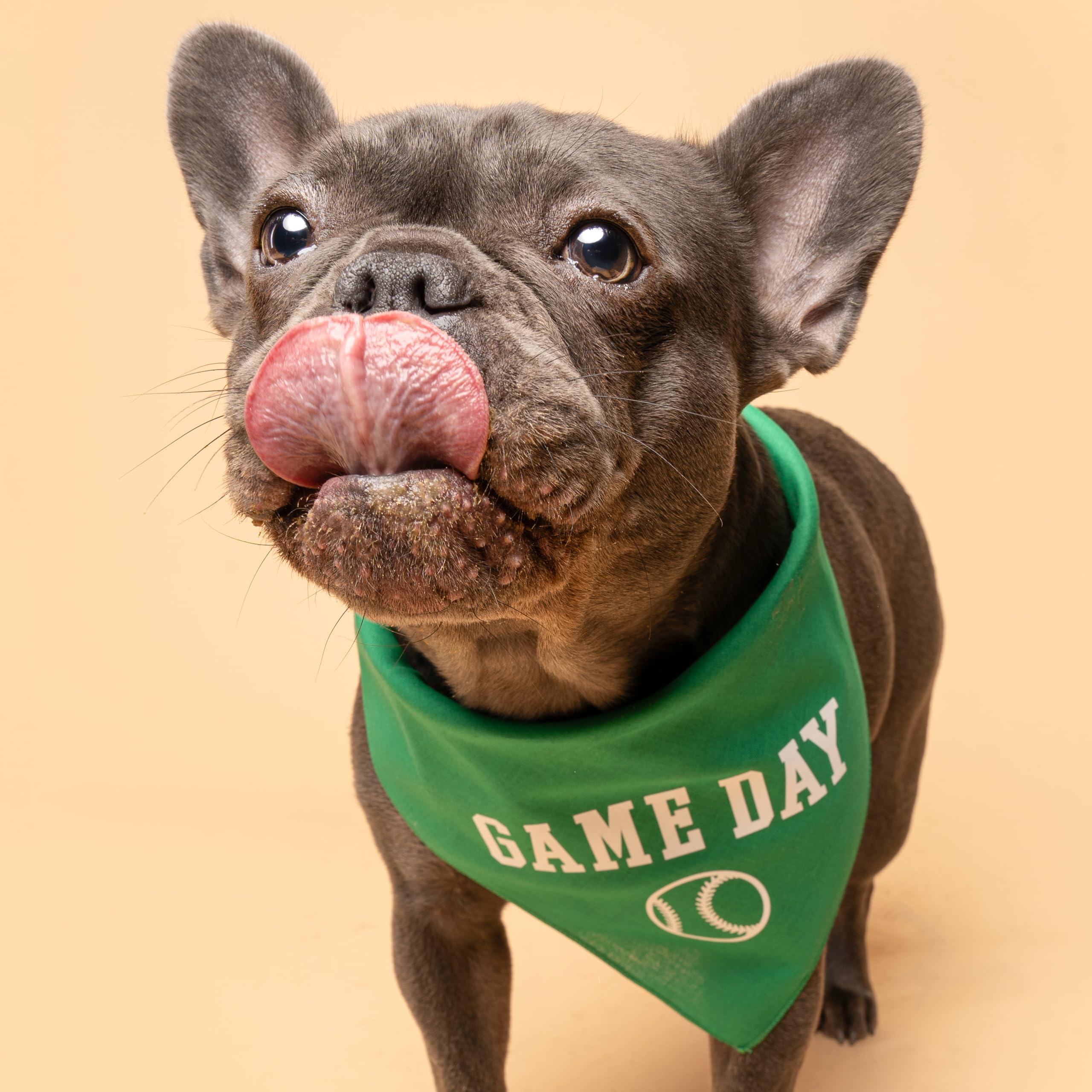 Game Day Baseball Dog Bandana (1054 Green, X-Small)
