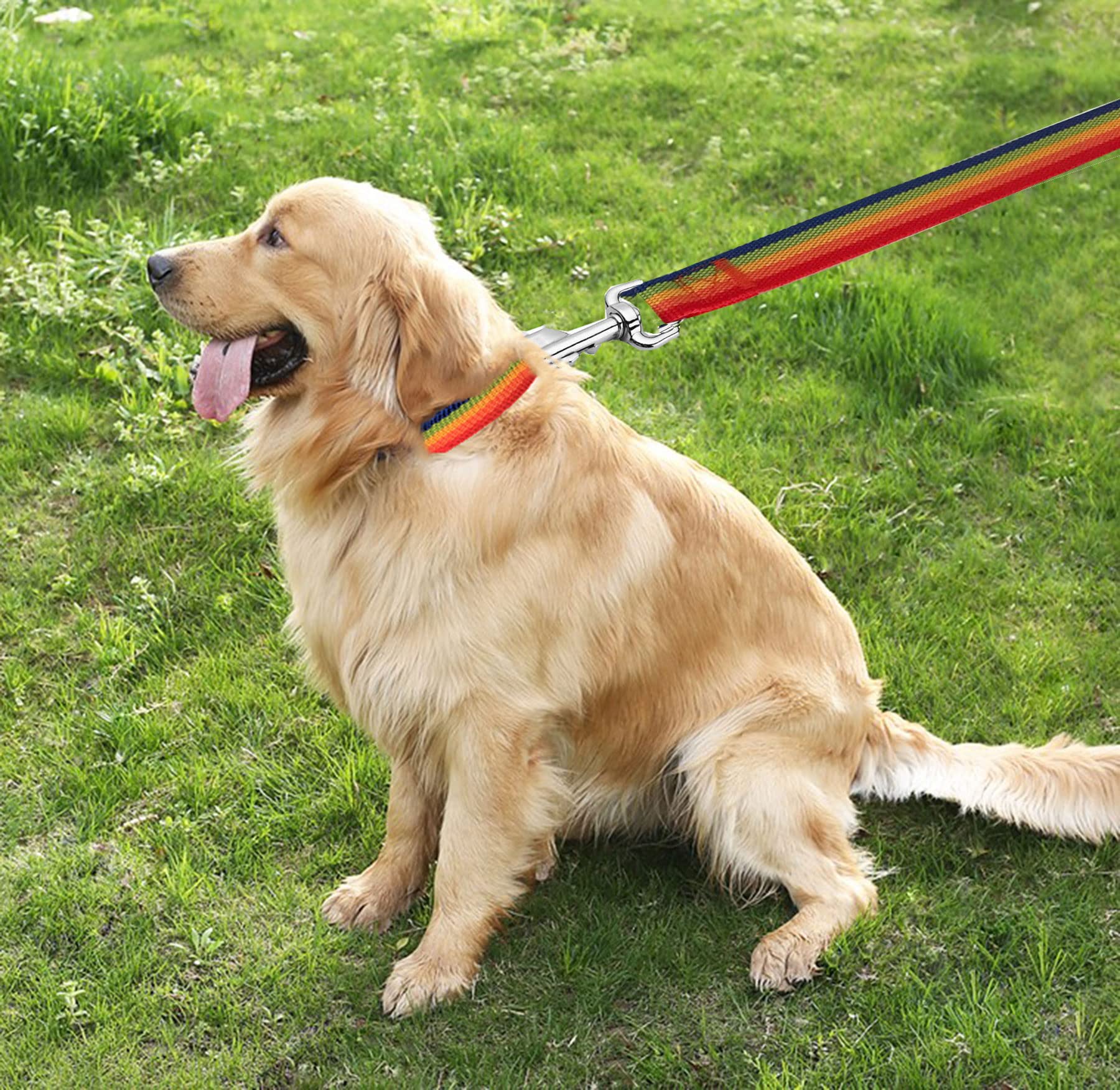 Taian 4Ft/5Ft/6Ft Strong Dog Leash, Nylon Dog Leashes For Small Medium Large Dogs (5/8 In X 5 Ft, Rainbow)