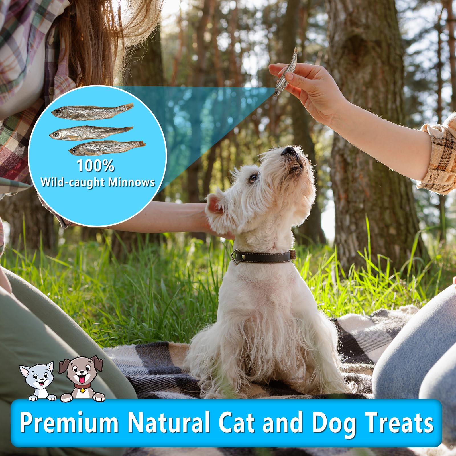 JADINGSFARM 2.5oz Natural Air-Dried Minnows Dog and Cat Treats, Grain-Free, High-Protein, Single-Ingredient Fish Snacks for Trai