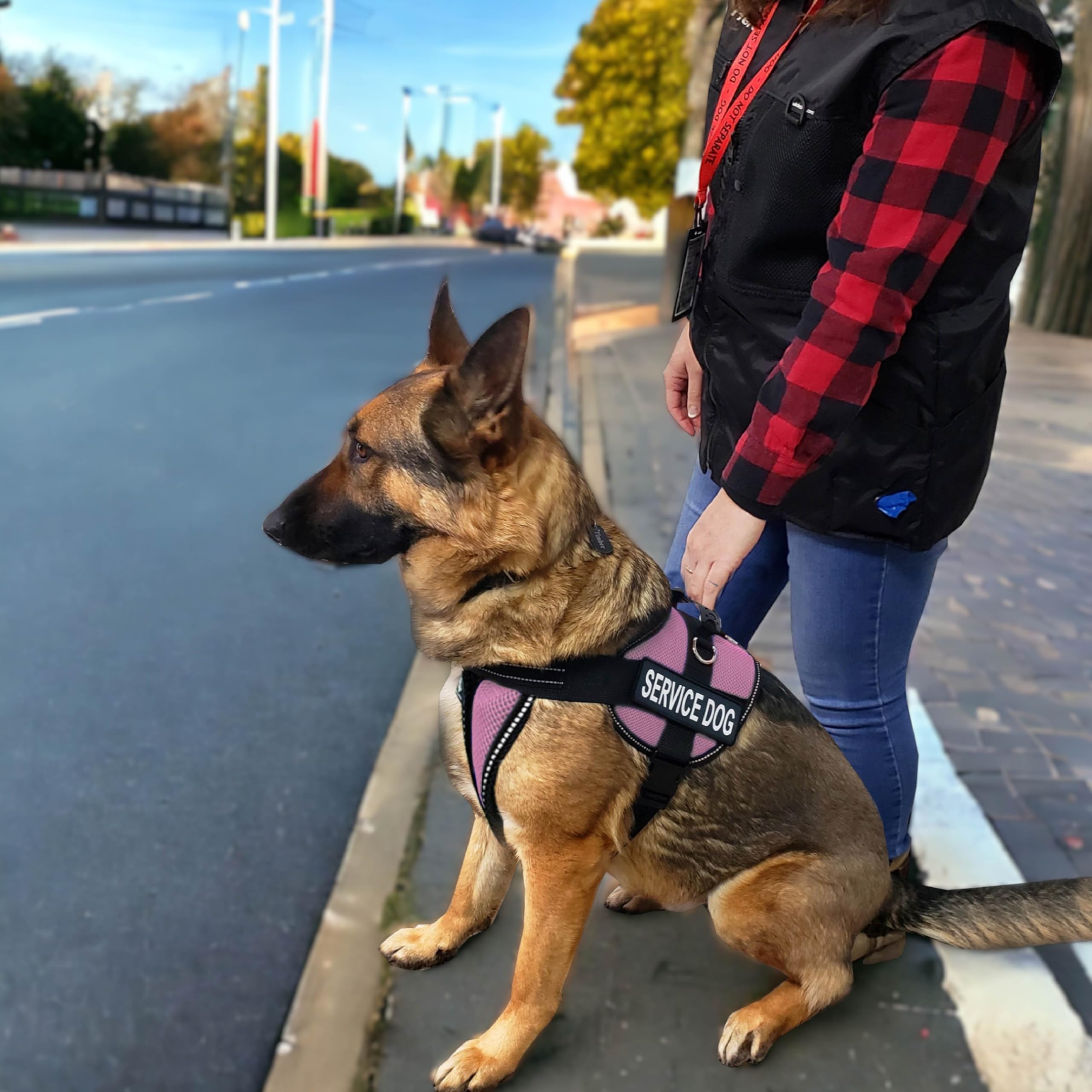 Activedogs Full Service Dog Kit - Large Pink - Service Dog Vest Harness With Handle, Service Dog Id, Id Holder, Ada Service Dog