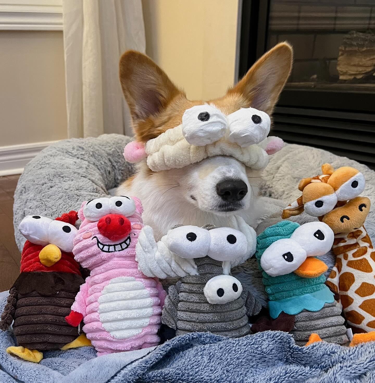 Nocciola 5 Packs Dog Squeaky Toys, 5 Funny Strange Squeak Sounds for Different Animals, Durable Stuffed Plush Dog Toys to Keep T