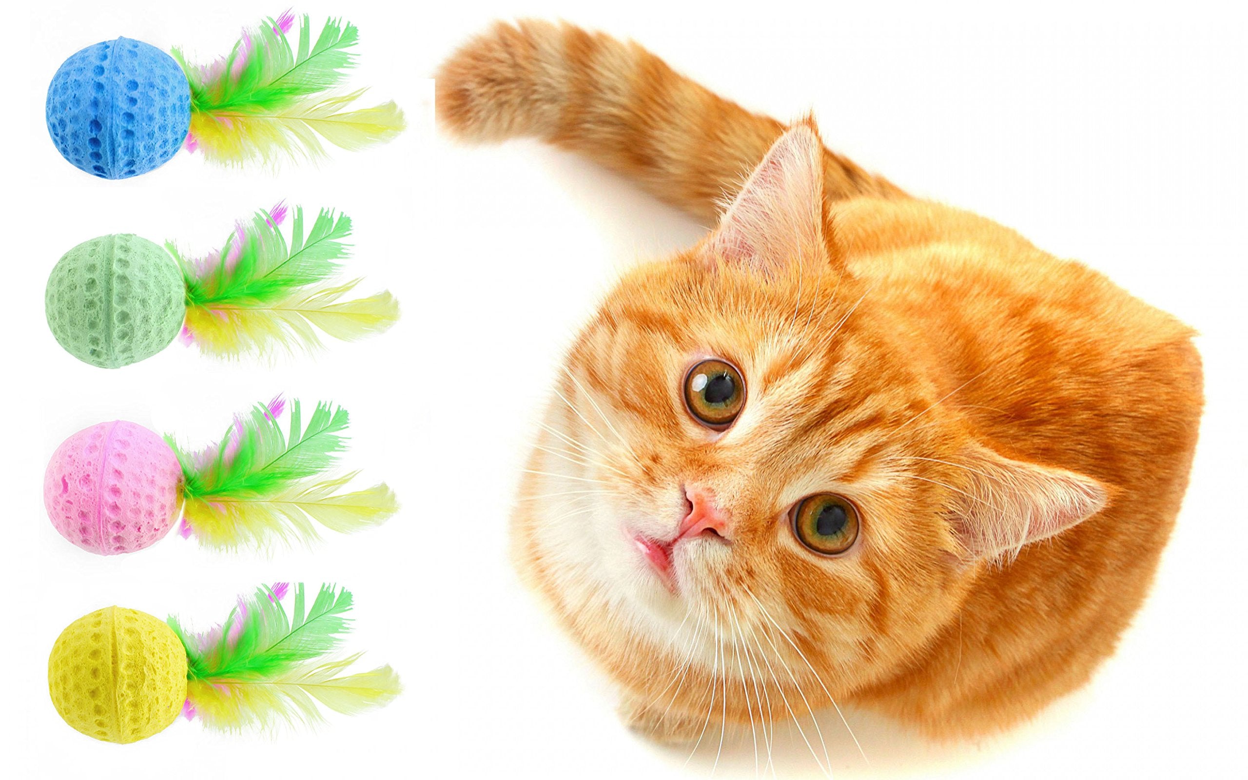 Nargos 1.5 Dia Colorful Golf Sponge Foam Balls Cats Toys With Feathers(4 Pack)