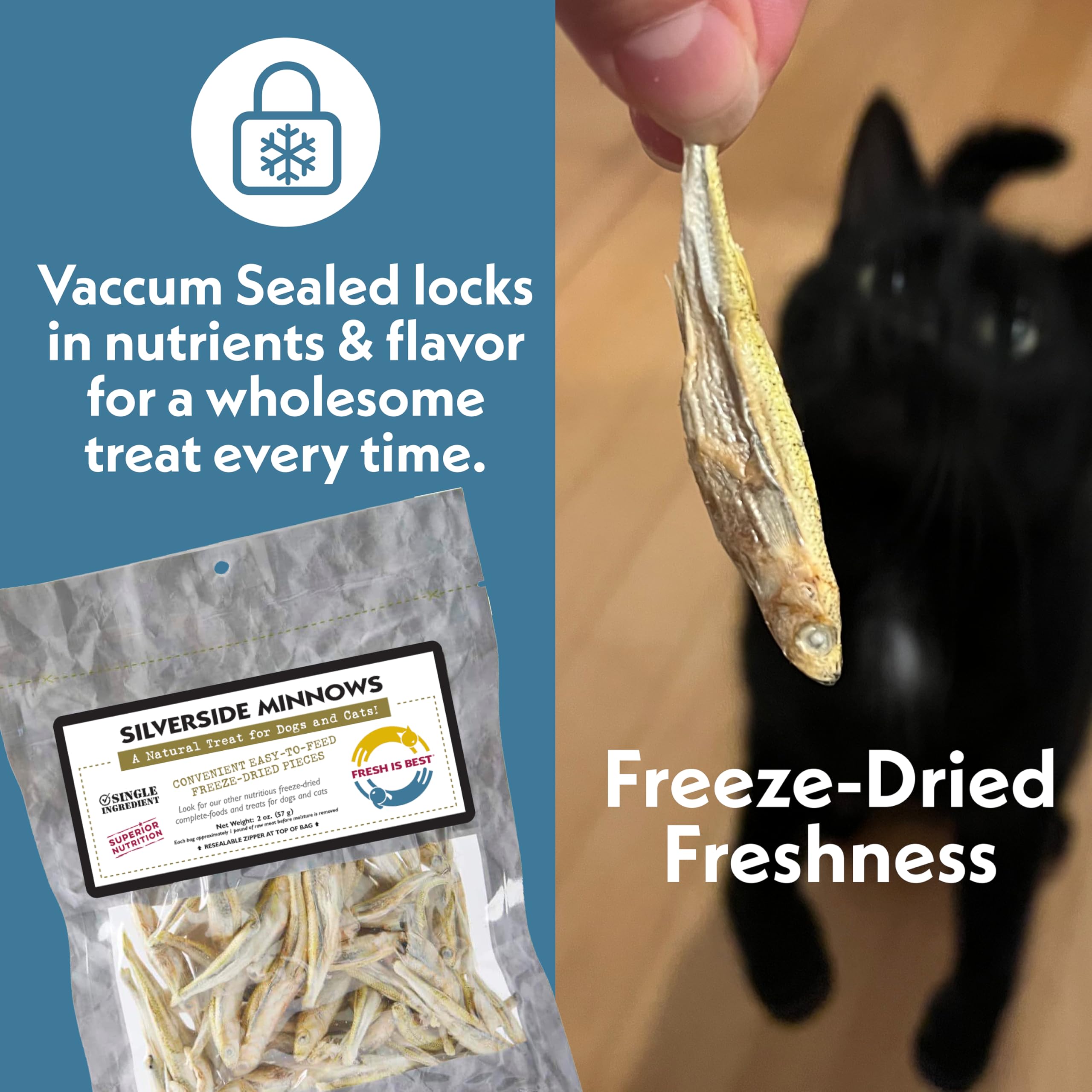 Fresh Is Best - Freeze Dried Healthy Raw Meat Treats for Dogs & Cats - Silverside Minnows
