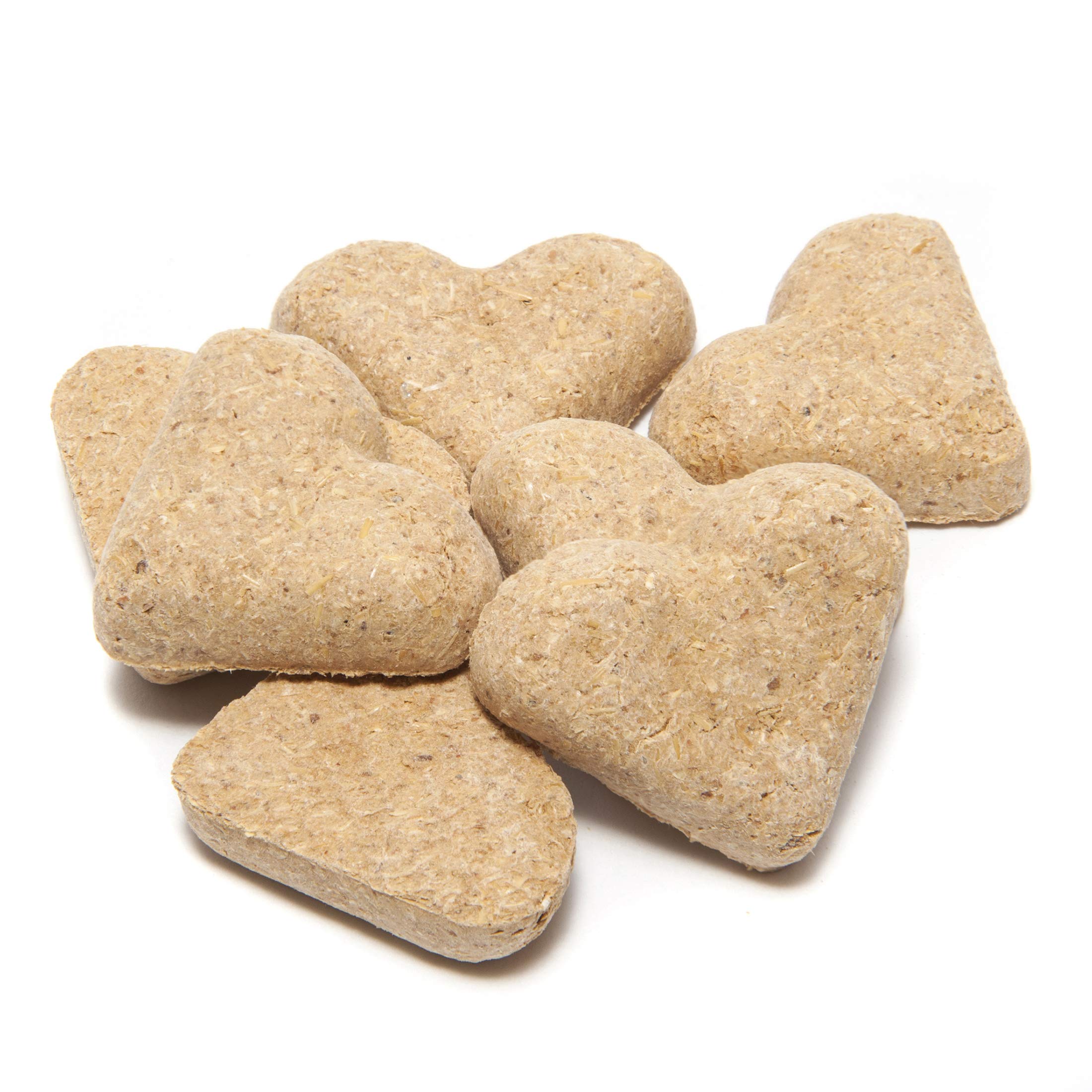 Nutrigood Senior Snax Horse Treats - Apple Flavor - Made with Omega 3 Fatty Acids, Biotin, and Glucosamine - 2 Pounds