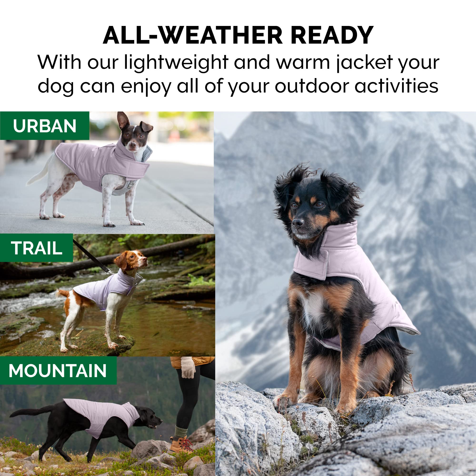 Furhaven Water-Repellent & Reversible Small Dog Coat, Washable & Reflective w/ Leash Access, Pocket, & Carry-On Purse - Puffer D