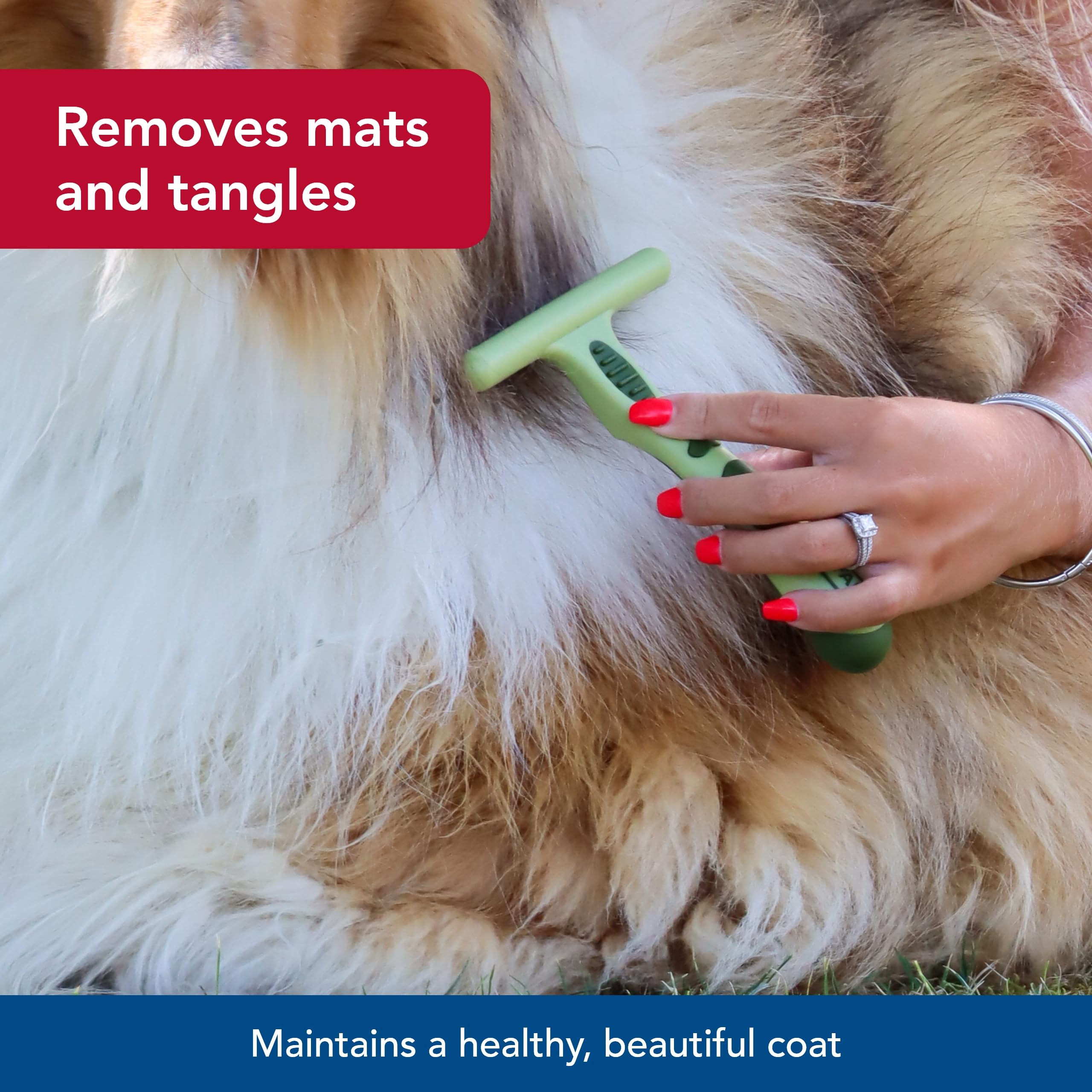 Coastal Pet Safari Single Row Undercoat Rake - Gentle Dematting And Deshedding Tool For Dogs, Pet Grooming Comb