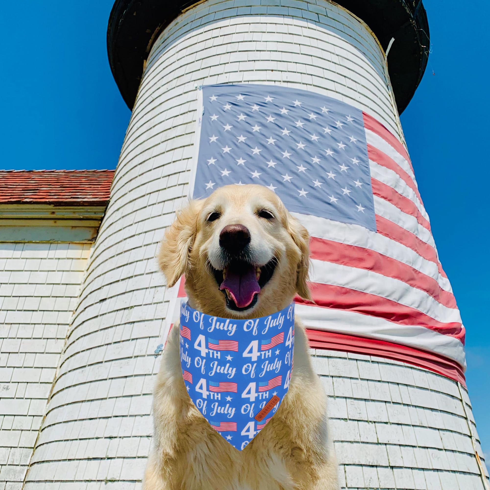 Adoggygo American Flag Dog Bandanas 2 Pack, Triangle Reversible Independence Day Pet Scarf Bib, Red Blue 4Th Of July Bandana For