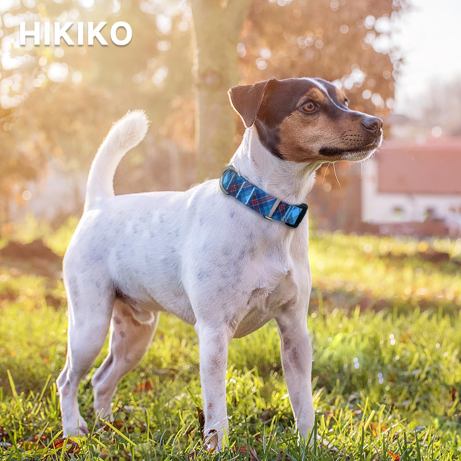 Hikiko Dog Collar For Small Medium Large Dogs, Adjustable Nylon Martingale Collars With Quick Release Buckle (Blue Plaid,L)