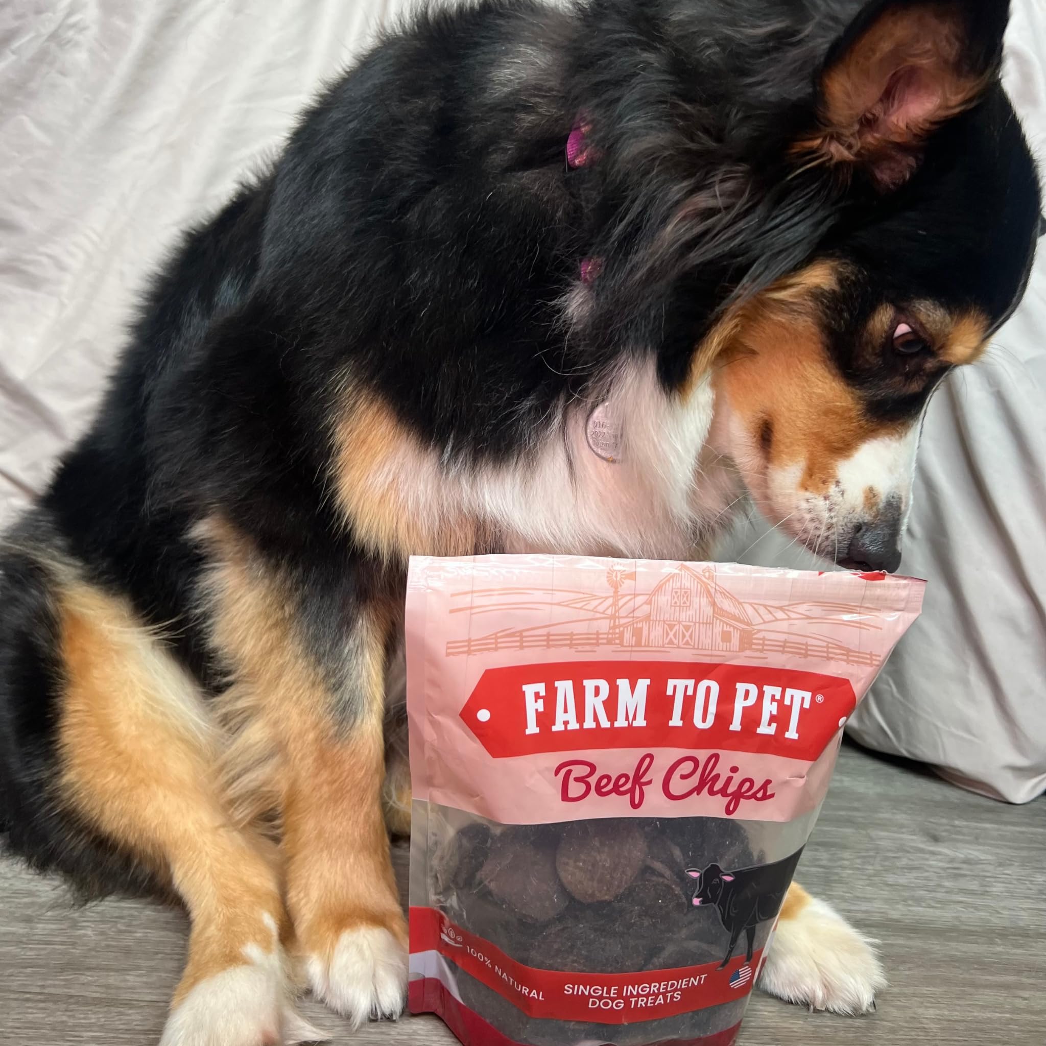 Farm To Pet - Dog Training Treats - 12 oz Beef Chips, Single Ingredient, Lean, All Natural, Healthy Dog Treats for Small, Medium
