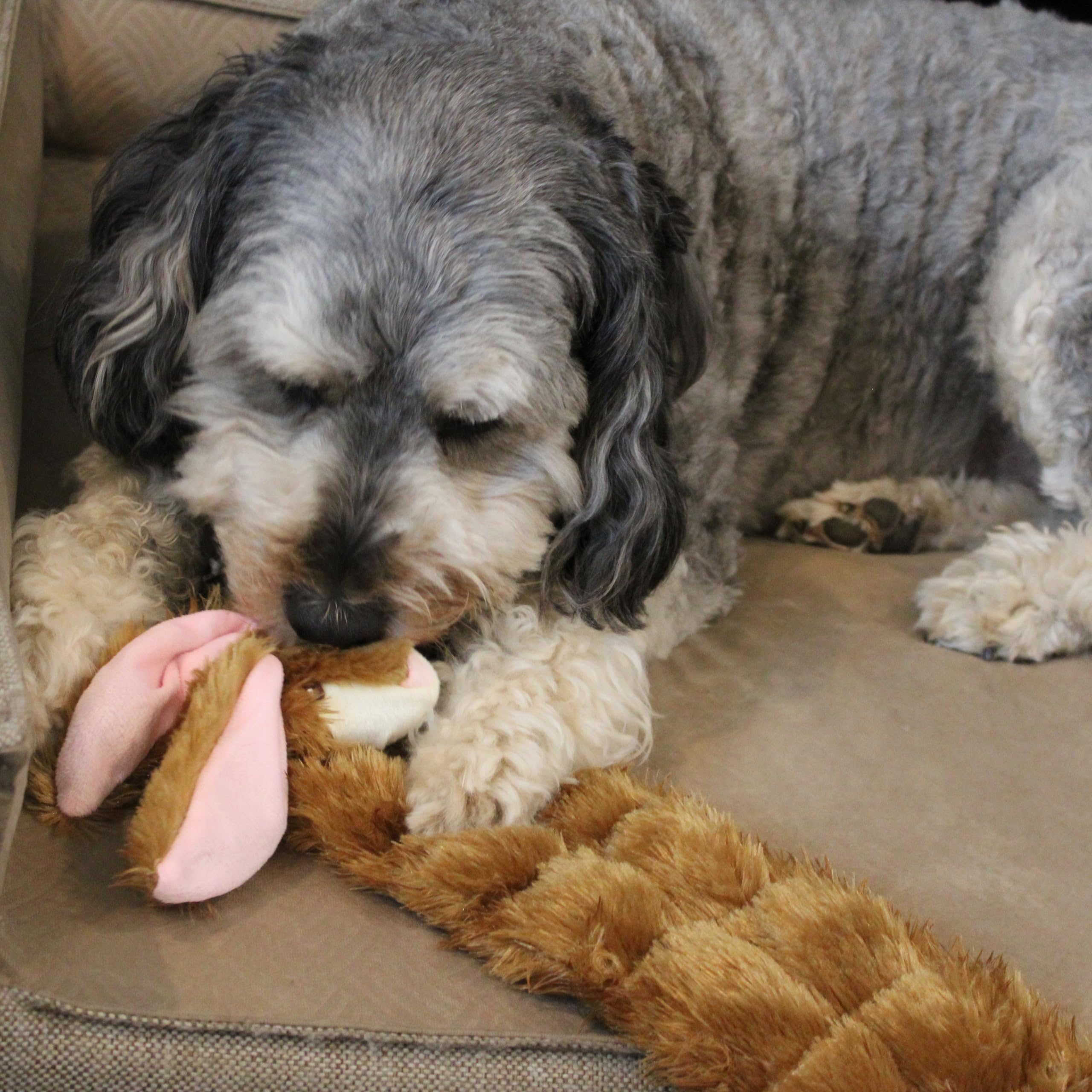 Spot Skinneeez Tons-O-Squeakers Rabbit Dog Toy - With 19 Squeakers For Tons-O-Fun! Stuffing-Free Design Is Great For Moderate Chewers, Tug Toy For Medium To Large Puppies & Dogs - 20In Color May Vary