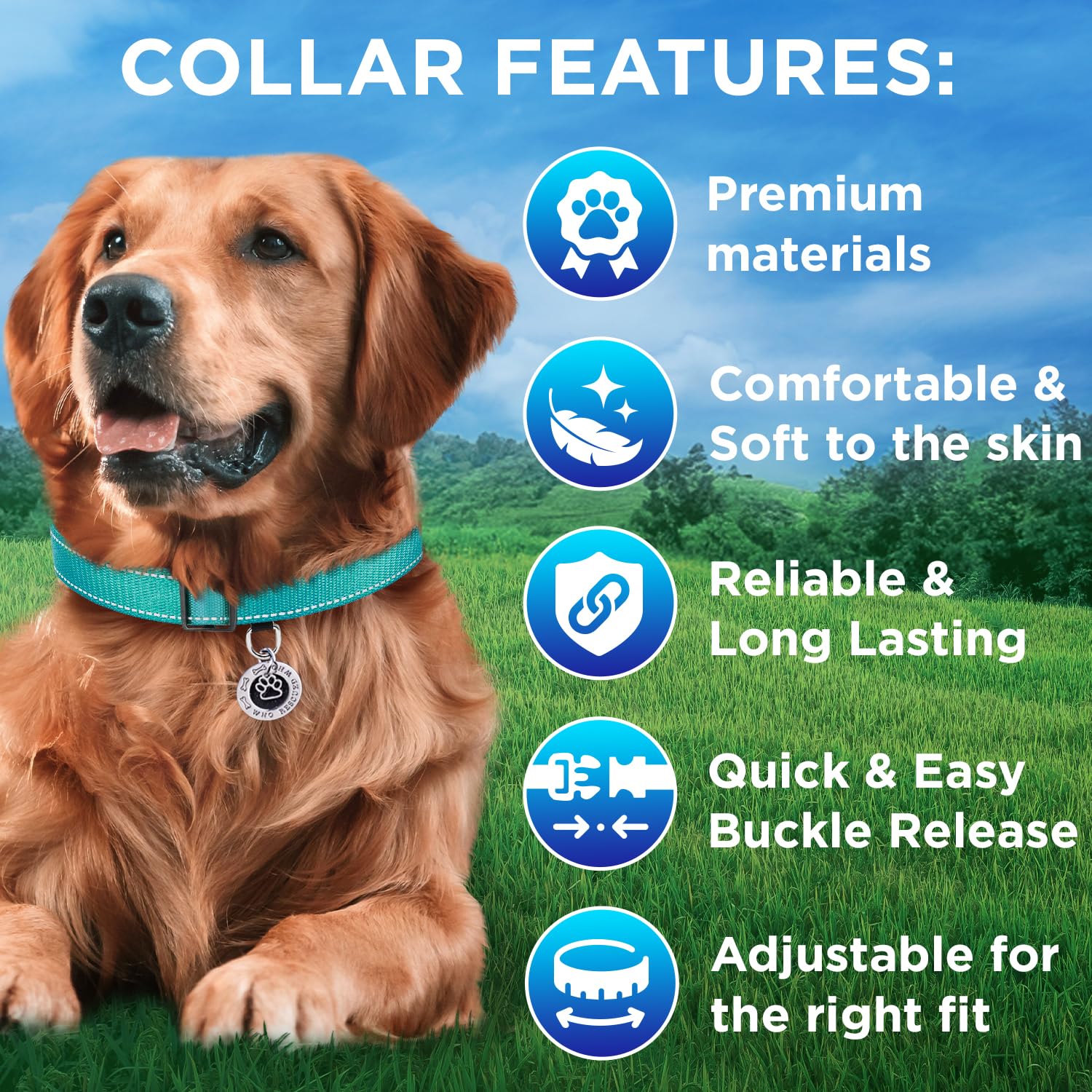 Teceum Reflective Dog Collar - Teal - S - Basic Nylon Pet Collar - Quick Release Buckle - Fits Small, Medium And Large Dogs, Pup