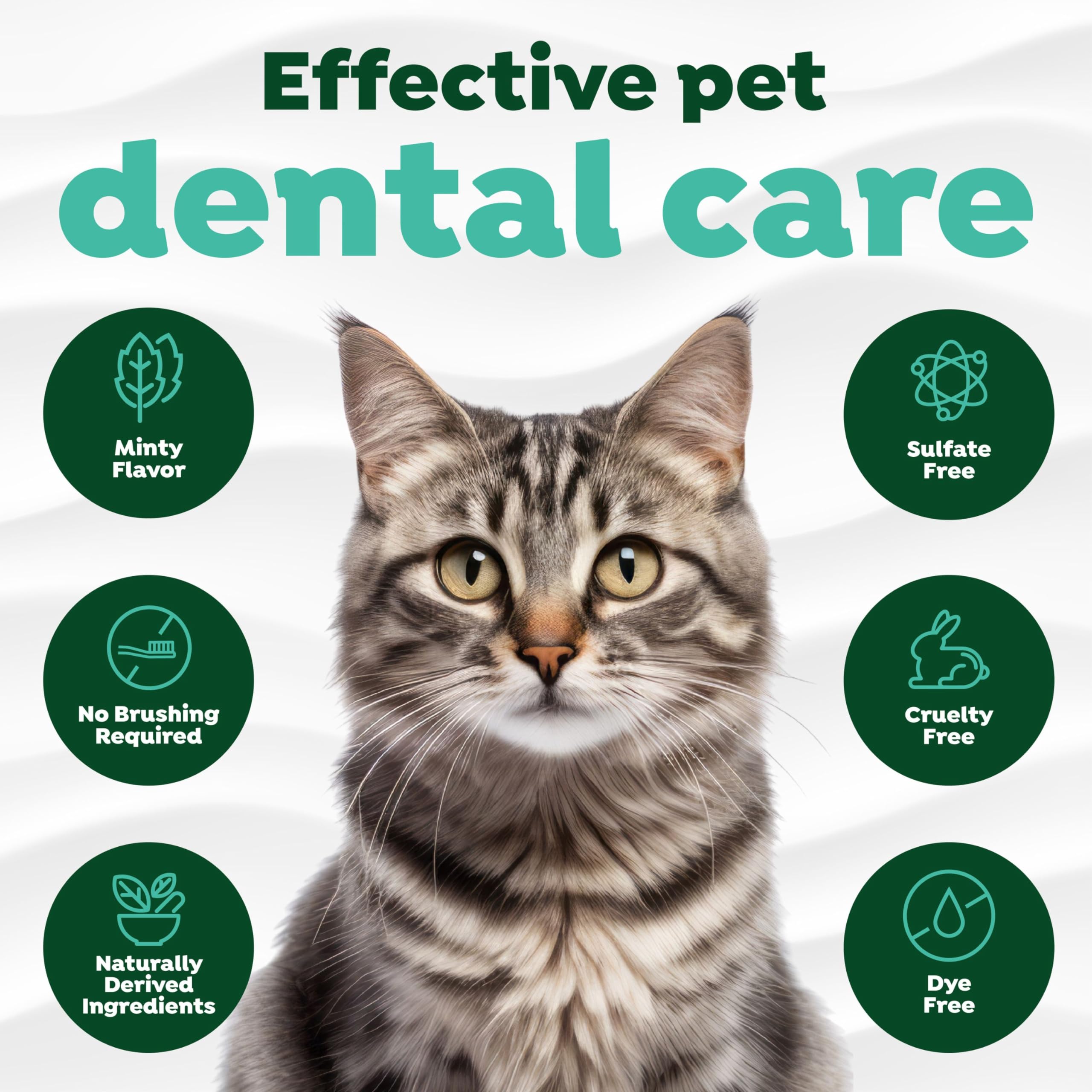 TropiClean Fresh Breath for Cats | No Brush Dental Gel for Cats | Cat Breath Freshener Toothpaste for Plaque, Tartar & Stinky Br