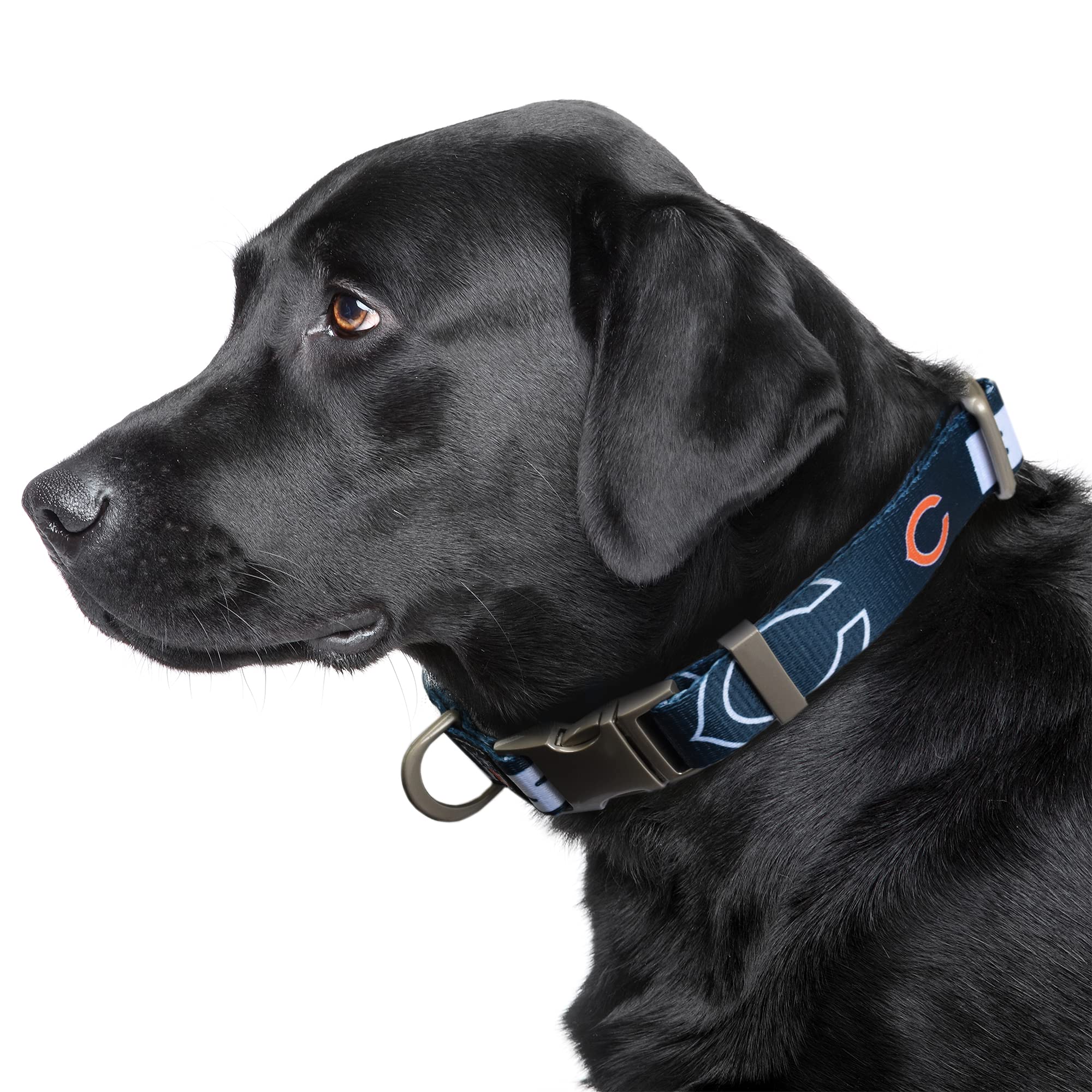 Littlearth Chicago Bears Nfl Premium Pet Collar