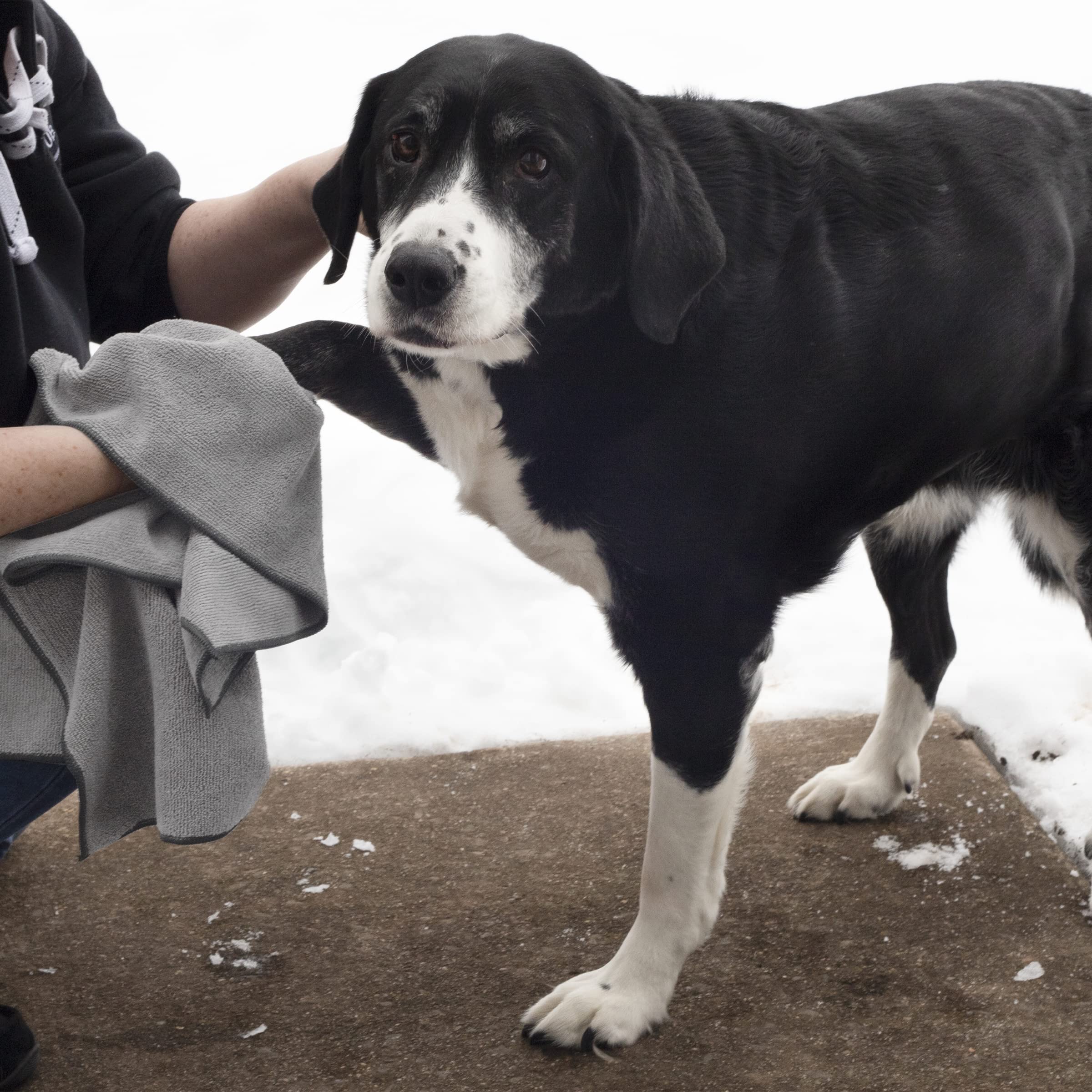 Ritz Premium Embroidered Microfiber Pet Towel (3-Pack), 18' X 28', Highly Absorbent, Fast-Drying, Long-Lasting, Super Soft 80% Polyester And 20% Polyamide Pet Cloth, Grey