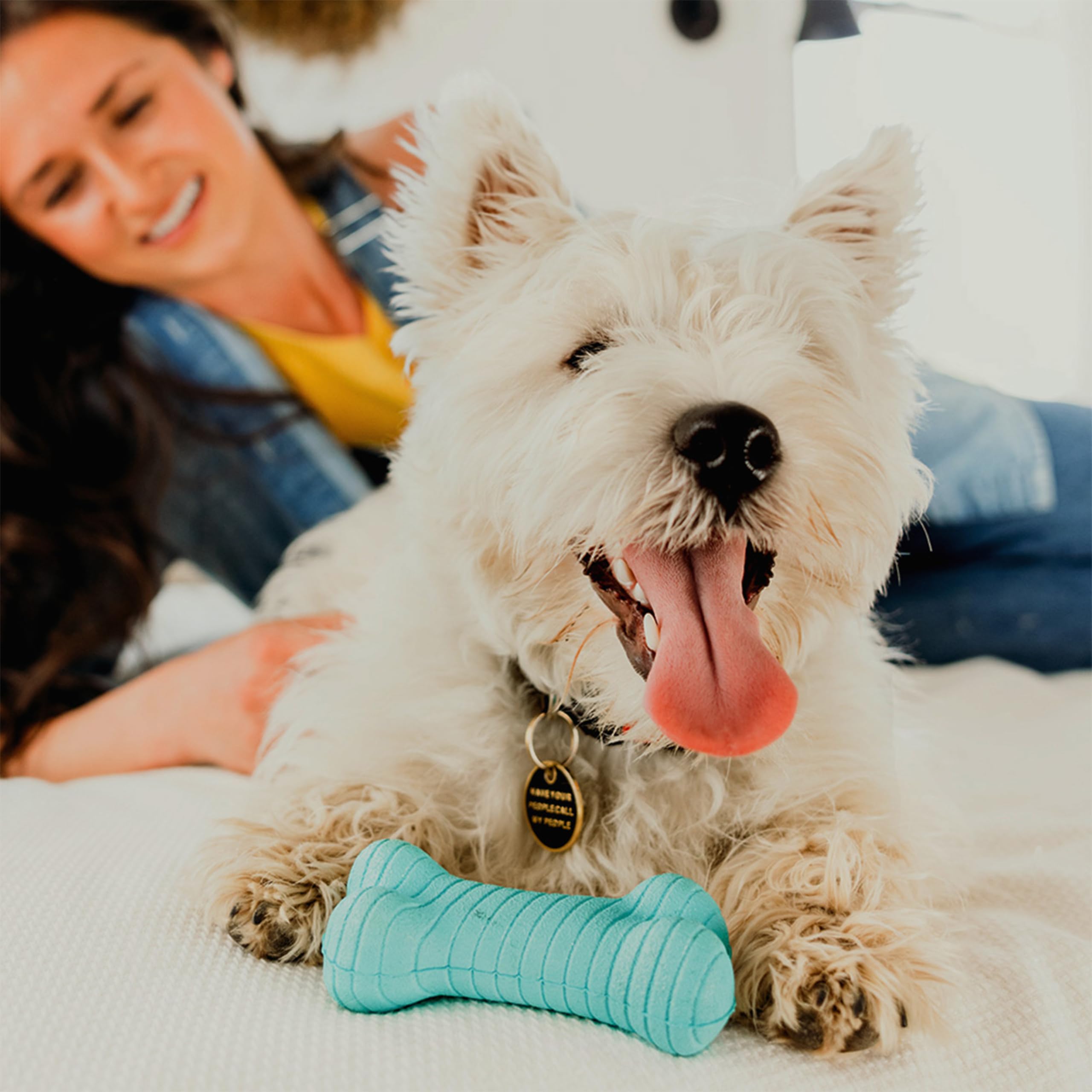 Playology Dual Layer Bone Toy For Small Dogs - Engaging All-Natural Peanut Butter Scented Durable Dog Chew Toy For Heavy Chewers