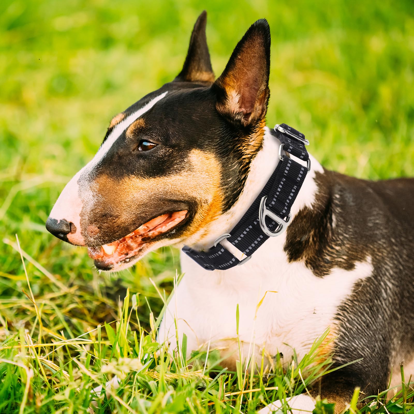 Onefojojo Martingale Collar For Large Dogs Reflective Nylon Dog Collar With Quick Release Buckle Adjustable Training No Slip Dog