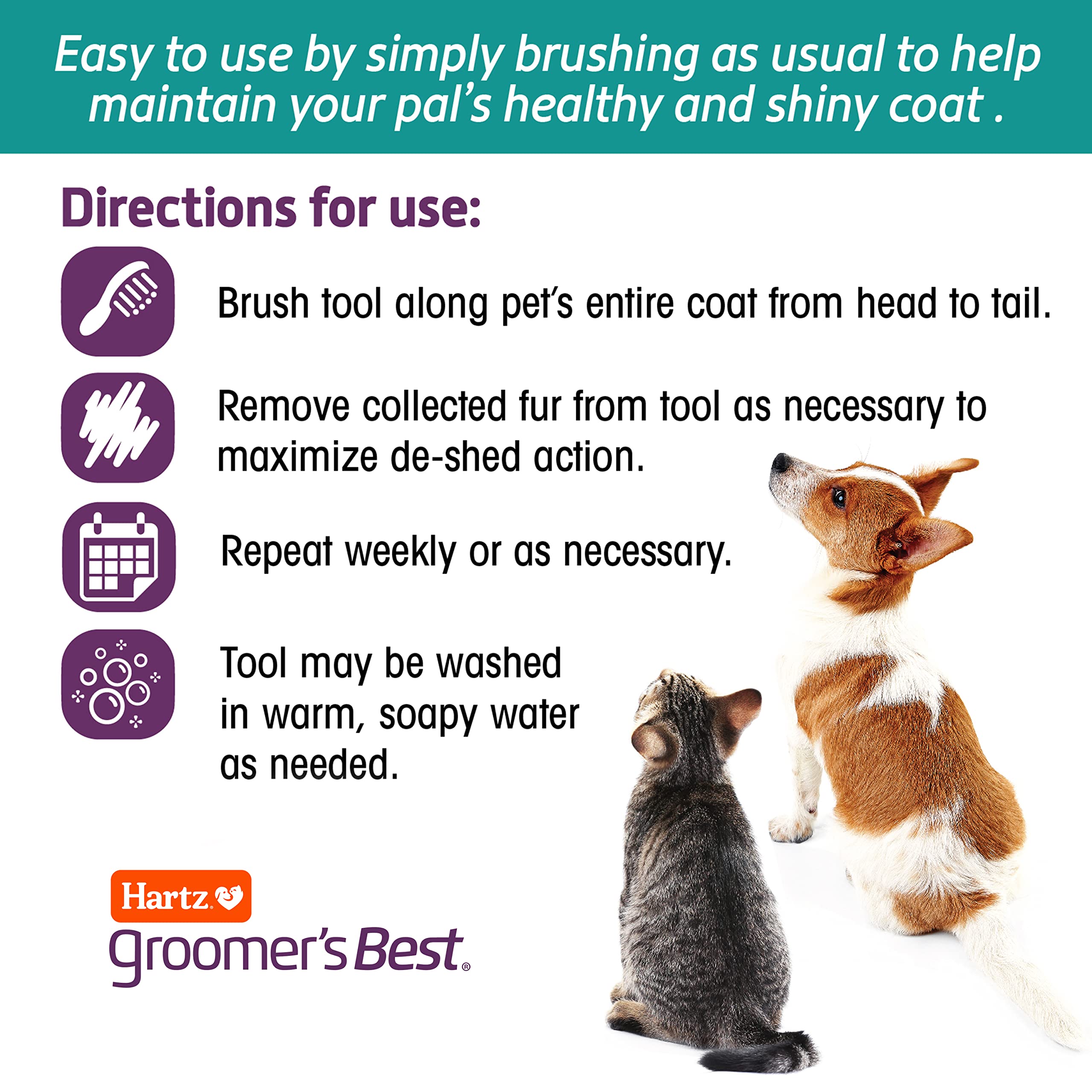 Hartz Groomer's Best Small Slicker Brush for Cats & Small Dogs, 1 Count, Black/Violet - Ideal for Grooming and Removing Loose Fur