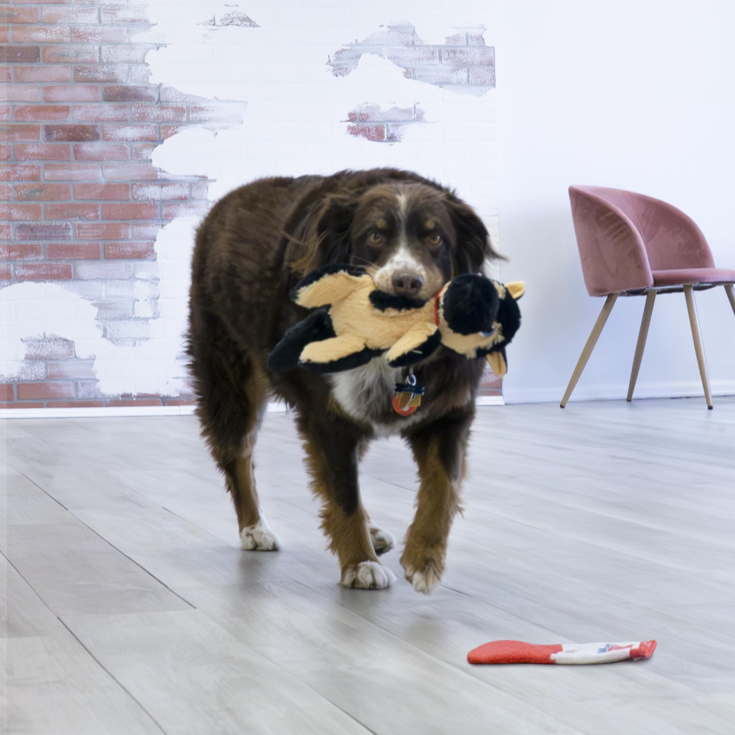 Kong Comfort Pups Low Stuffing Plush Fur And Crinkly Noise With Squeaker (Medium, Fritz)