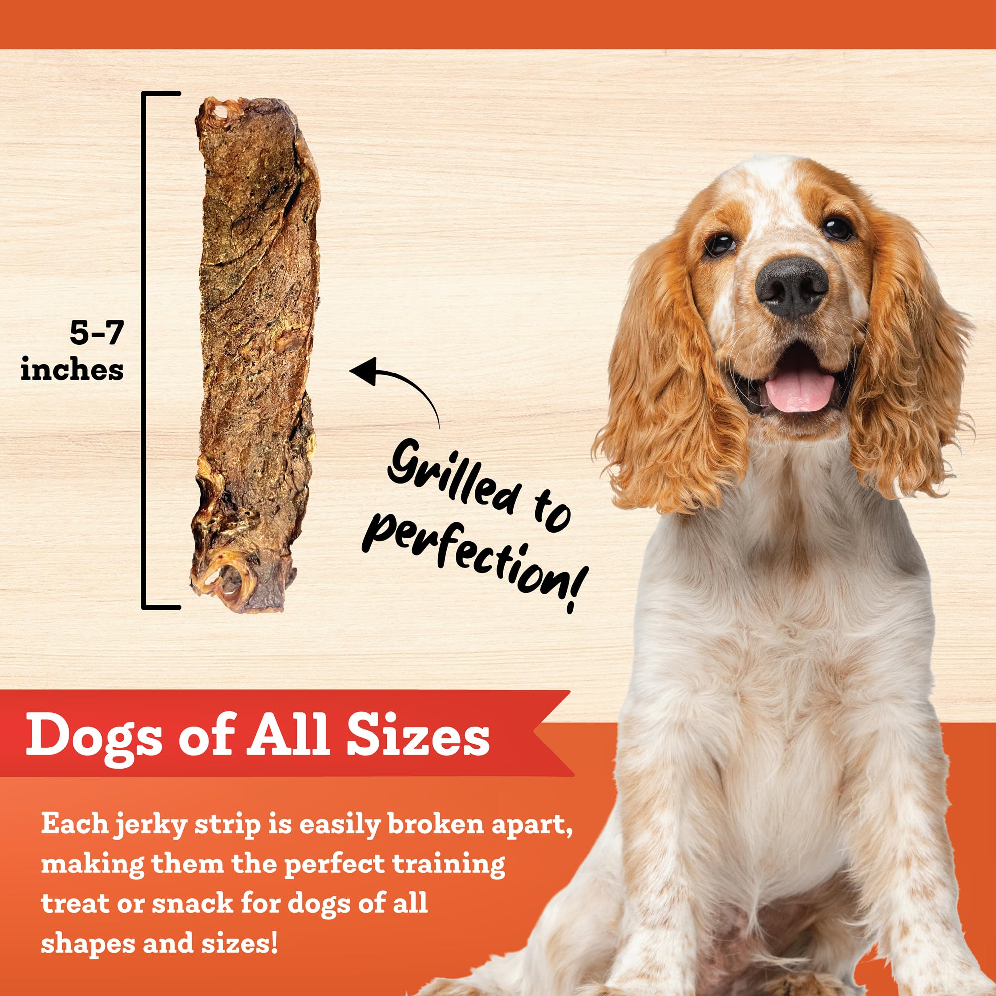Colorado Naturals Beef Jerky Strips Dog Treats, All-Natural, 16 oz – Made in USA, No Fillers or Preservatives
