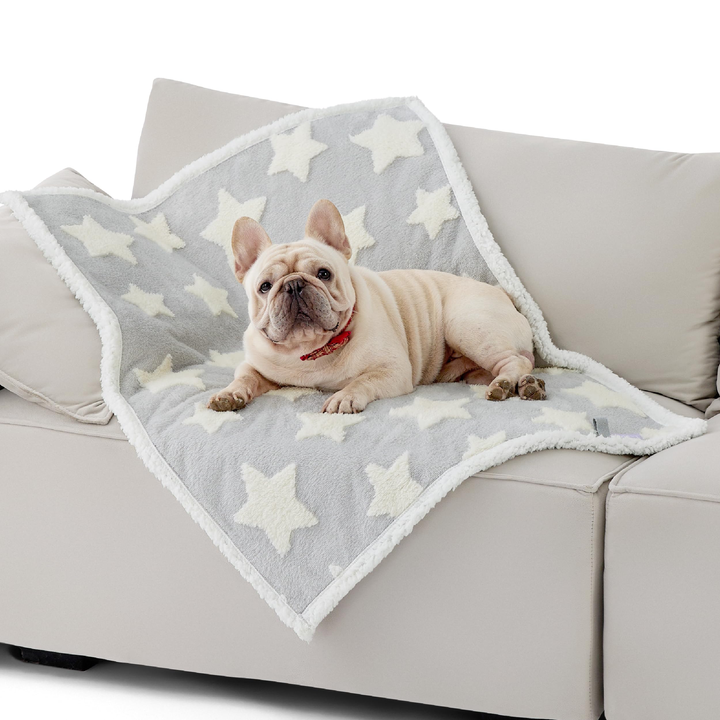 Lesure Waterproof Dog Blanket For Medium Dogs - Washable Double Sided Dog Blankets With Warm Jacquard Shag And Soft Sherpa Fleec