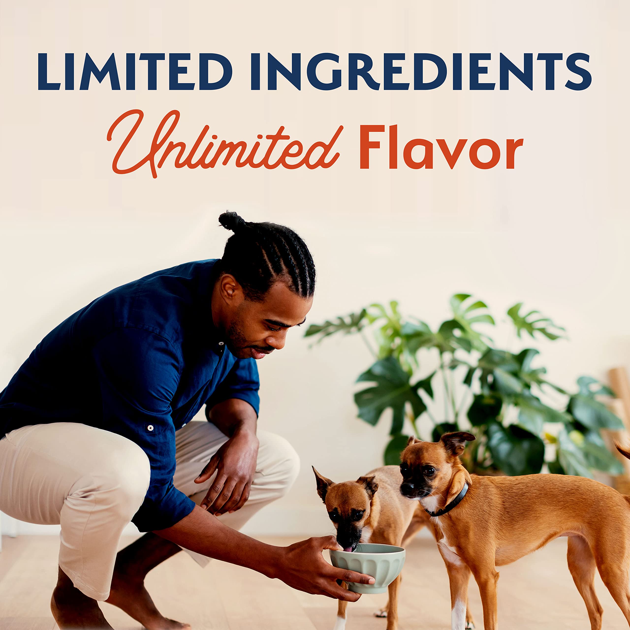 Natural Balance Limited Ingredient Small Breed Adult Grain-Free Dry Dog Food, Salmon & Sweet Potato Recipe, 12 Pound (Pack of 1)