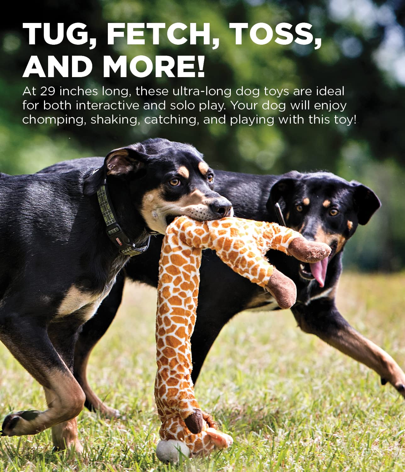 Outward Hound Longidues Giraffe Plush & Squeaky Dog Tug Toy