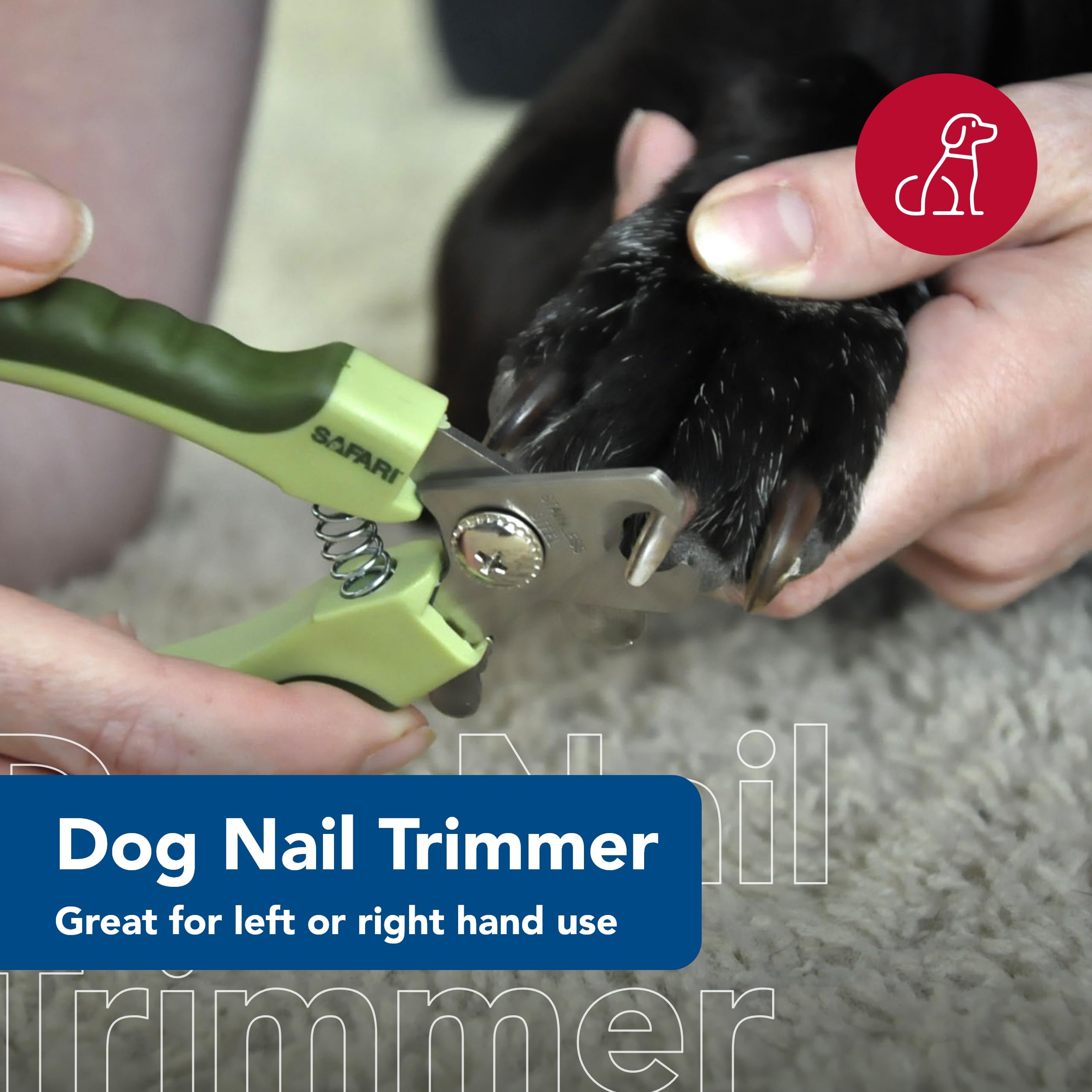 Safari Professional Stainless Steel Nail Clipper for Dogs
