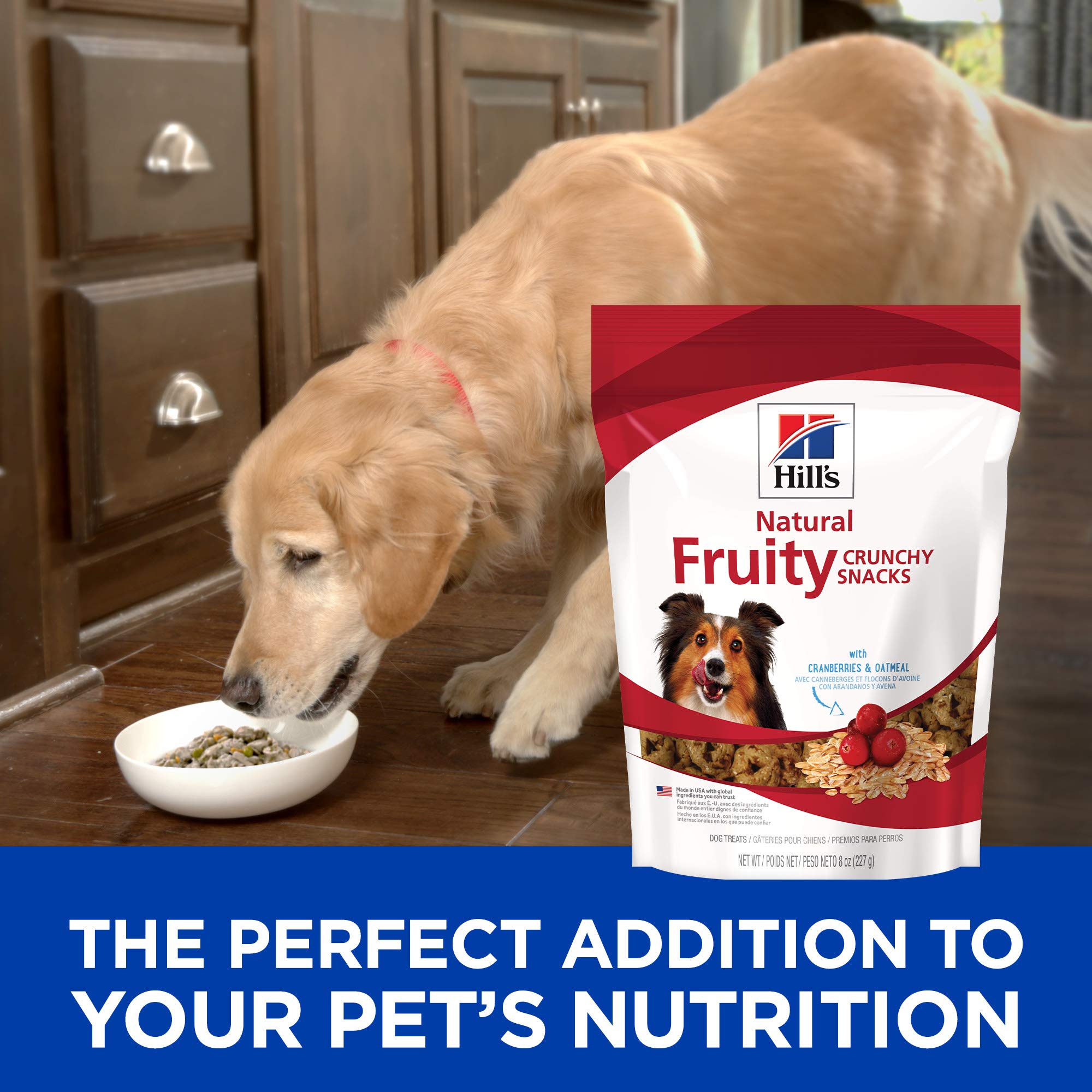 Hills Natural Fruity Crunchy Snacks, All Life Stages, Great Taste, Dog Treats, Cranberries & Oatmeal , 8 oz Bag