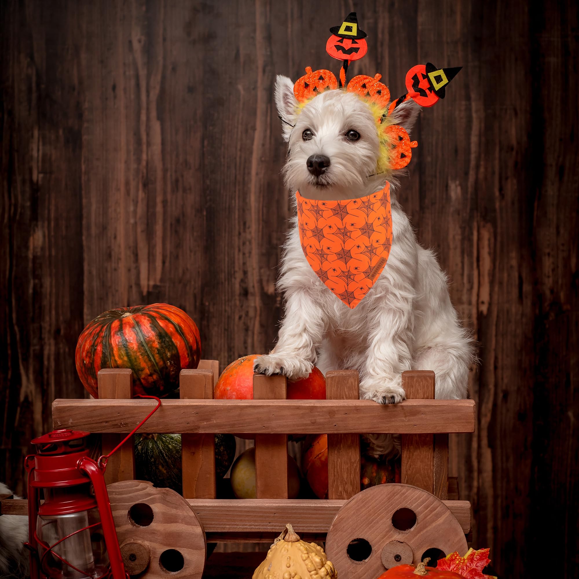 Adoggygo Halloween Dog Bandana, Spider Web Ghost Design Dog Scarf, Premium Durable Fabric, Orange Dog Halloween Bandanas For Small Dogs Cats Puppies (Small, Halloween)