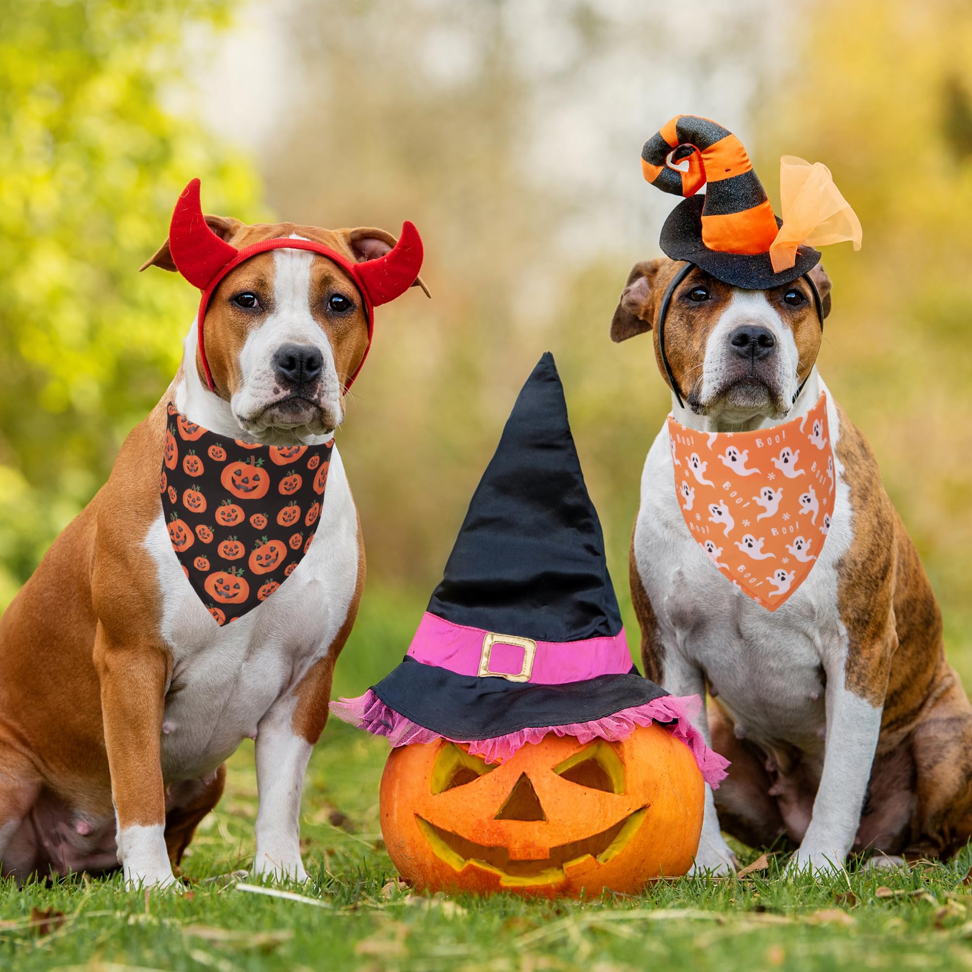 ADOGGYGO 4 Pack Halloween Dog Bandana, Pumpkin Ghost Dog Scarf Bib, Pet Halloween Bandanas Costume Accessories for Medium Large