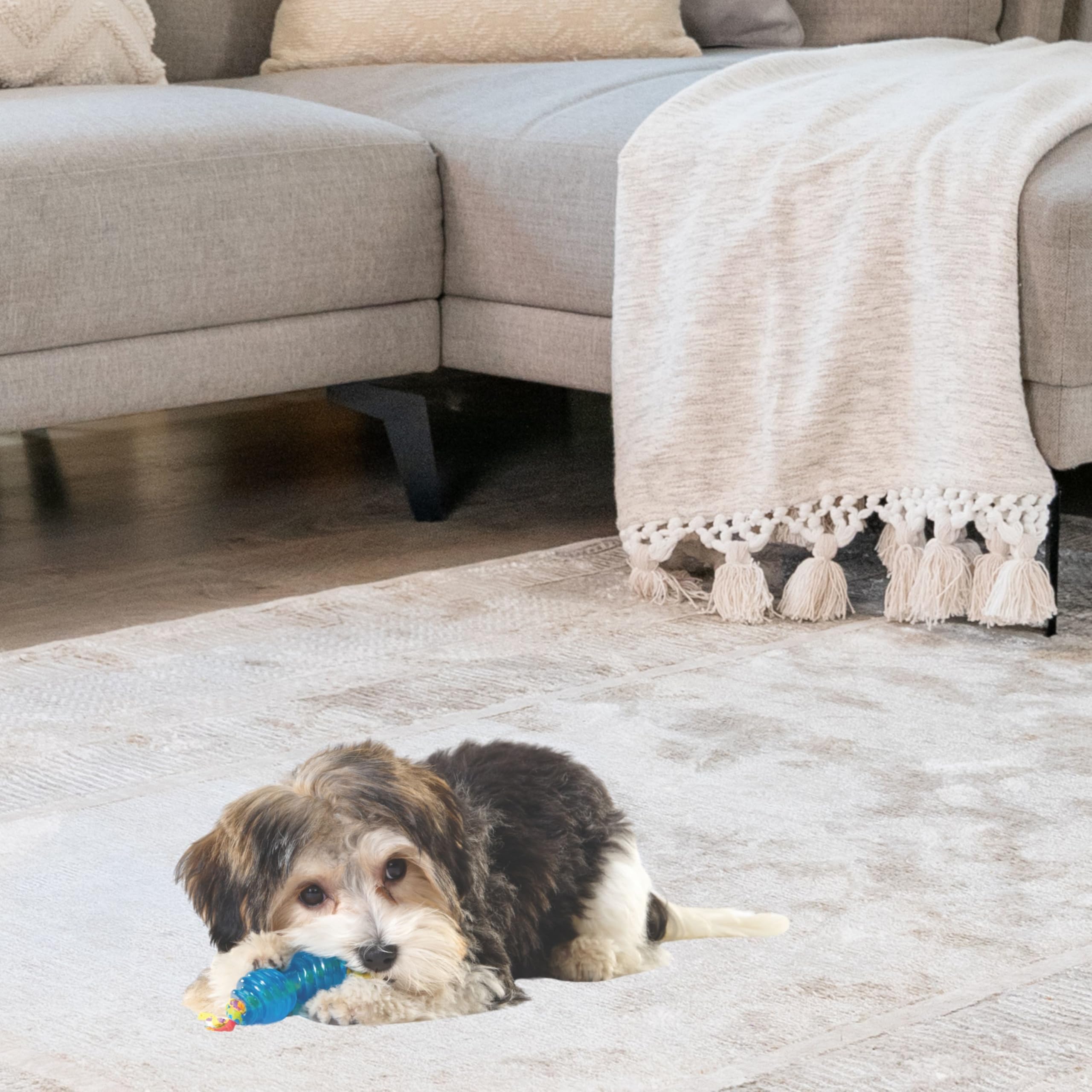 Petstages Mini Orka Chew Pair Bone & Dumbbell Dog Toys - 2 Pack