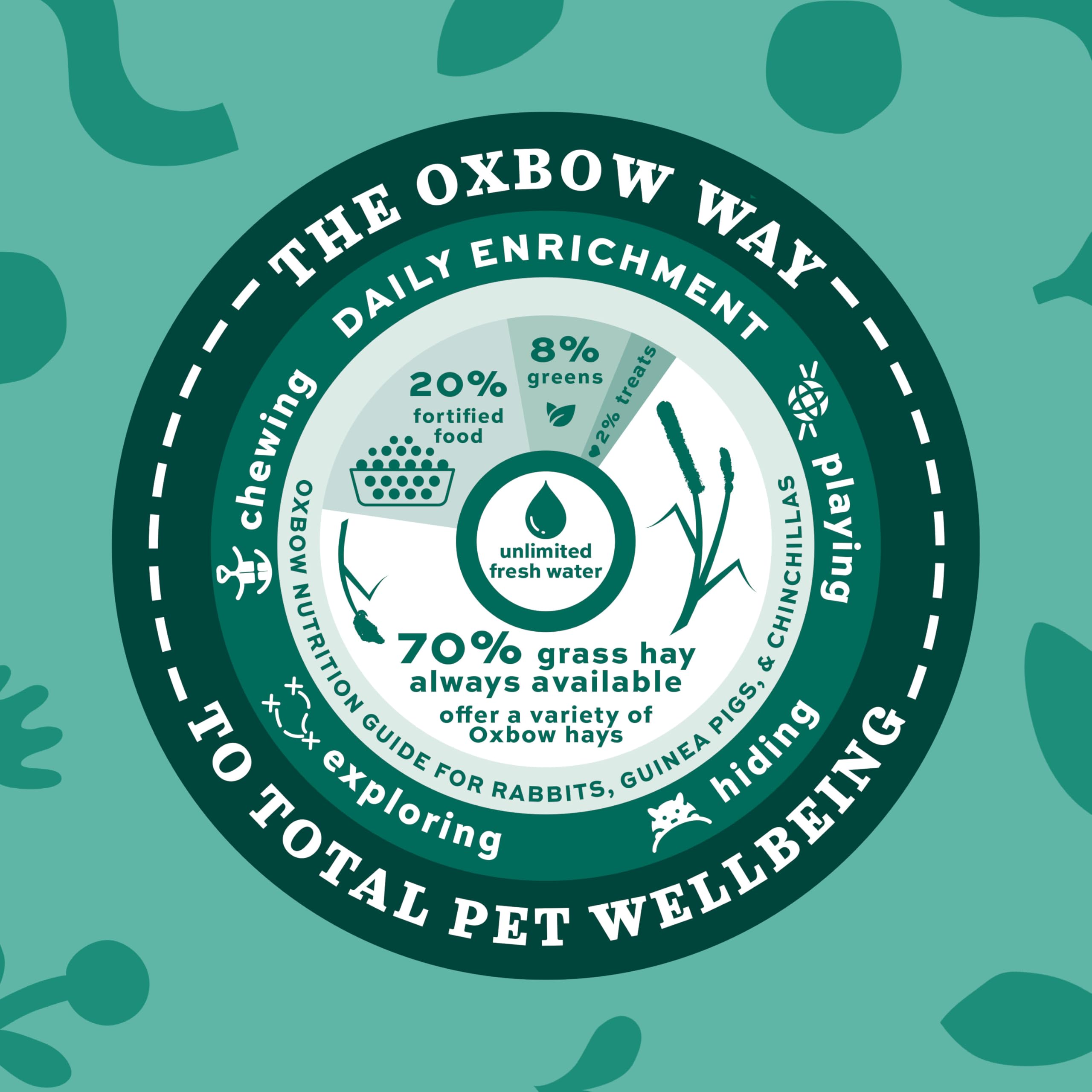 Oxbow Animal Health Western Timothy Hay - All Natural Hay for Rabbits, Guinea Pigs, Chinchillas, Hamsters & Gerbils -Veterinaria