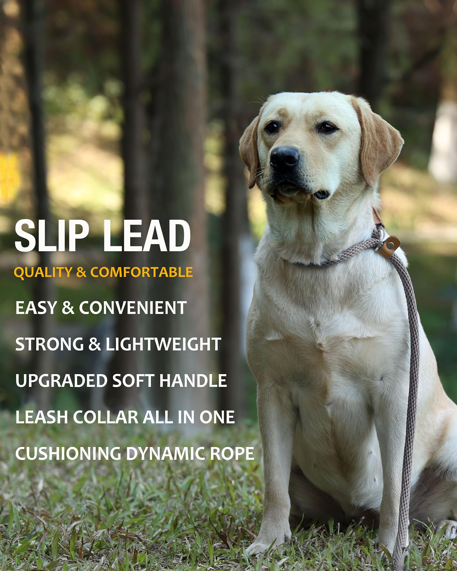 Lynxking 6 Ft Dog Leash Slip Lead 2 Pack Strong Heavy Duty Braided Dog Training Leash No Pull Training Lead Leashes For Medium L