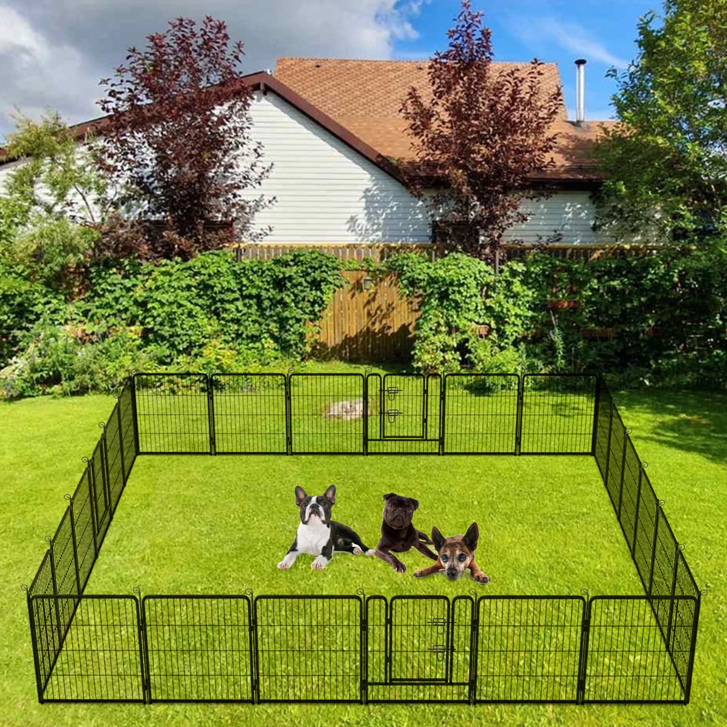 BestPet | Dog Playpen | 32 Inch, 24 Panels | Heavy Duty Metal Pet Exercise Pen | Indoor Outdoor Fence Panels | Rust-Resistant, R