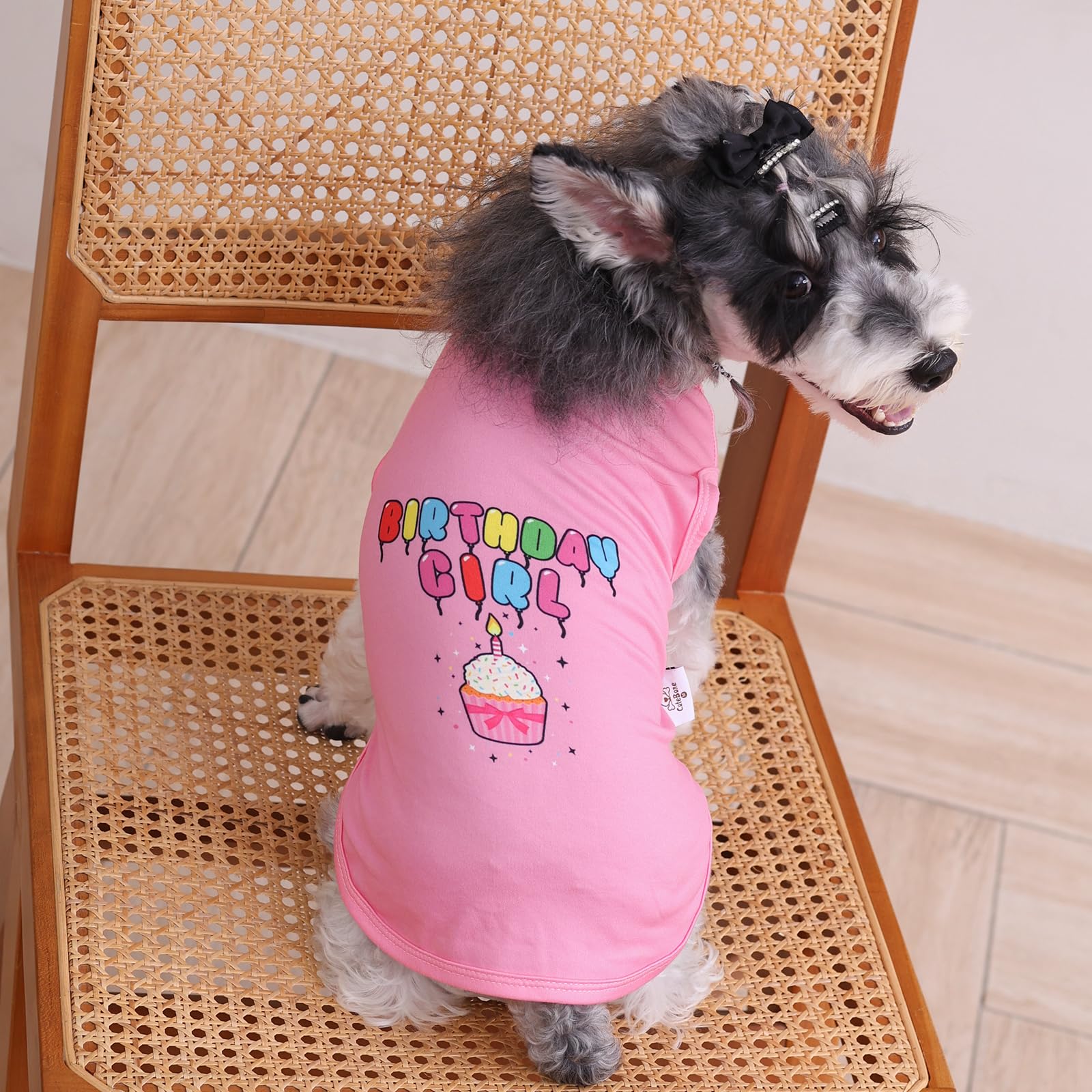 Cutebone Soft Dog Shirt Birthday Lightweight Small Puppy T-Shirts Pet Clothes Breathable Tee Vest Stretchy Outfit Cat Apparel Bx