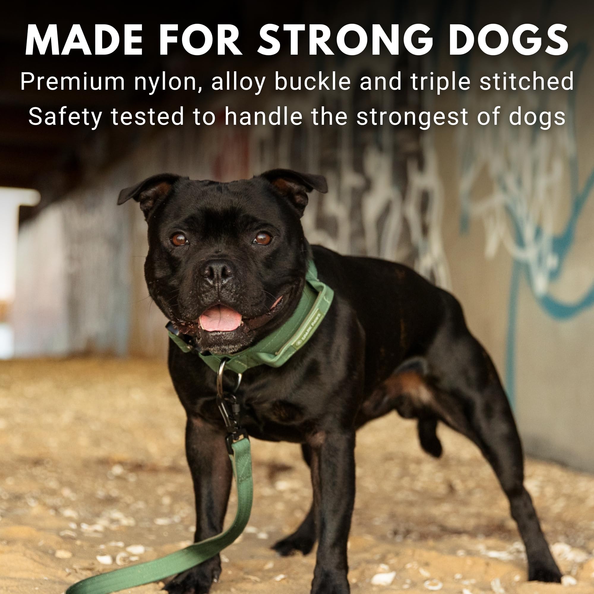 Spark Paws Tactical Dog Collar - Heavy Duty, Premium Quality, Thick And Durable For Large And Medium Dogs - Solid Green - M