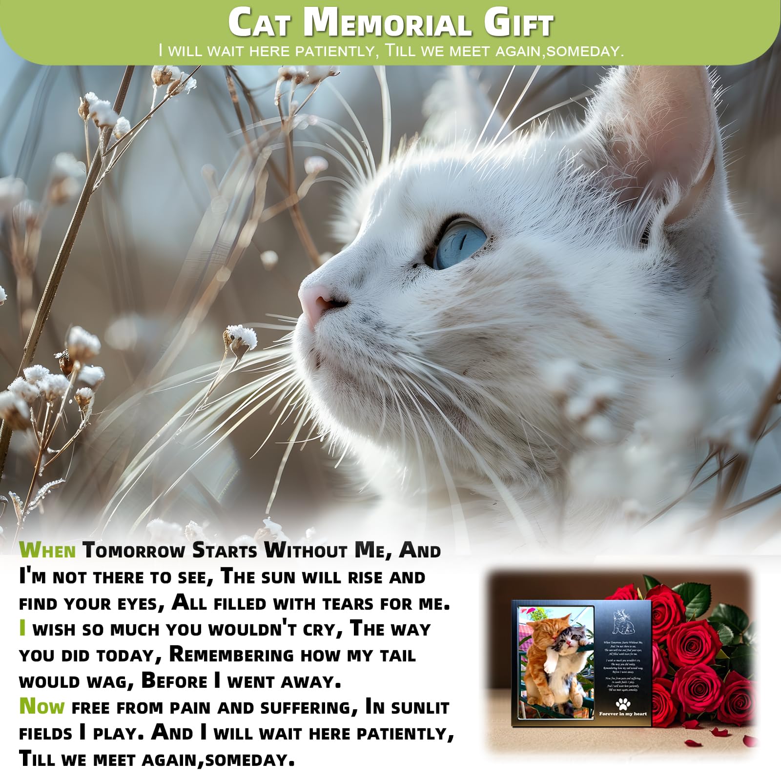 Joeziton Rainbow Bridge Cat Memorial Gifts For Loss Of Cat, Loss Of Cat Sympathy Gift, Cat Memorial Picture Frame, 4 X 6 Inches, Aluminum Alloy