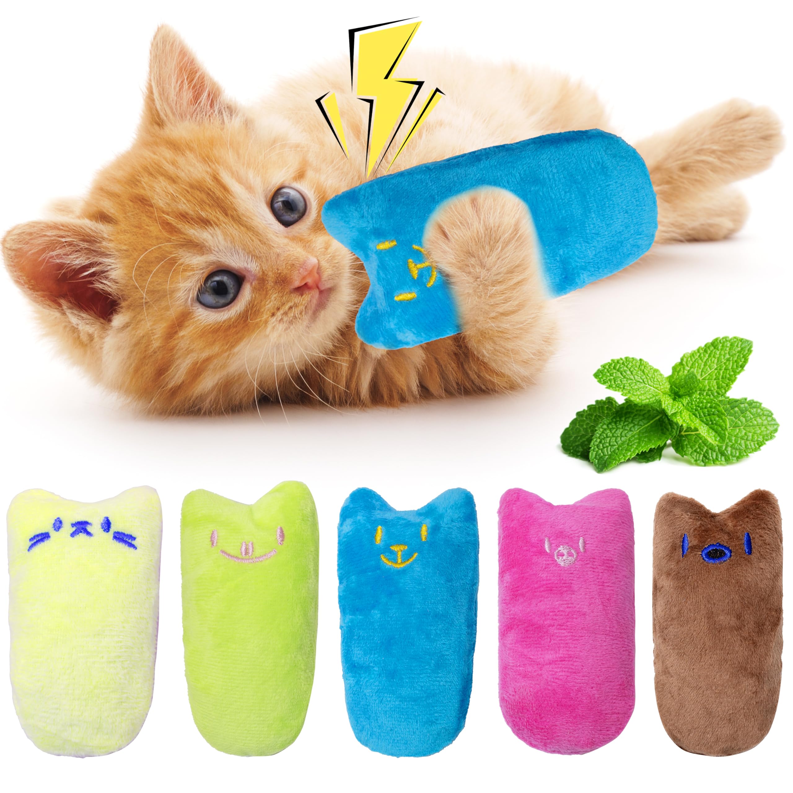 Seyezo Cat Toys For Indoor Cats, 5Ps Cats Fetch Toys, Fluffy Toys For Playing, Interactive Kitten Toys, Kitty Chew Teething Toys