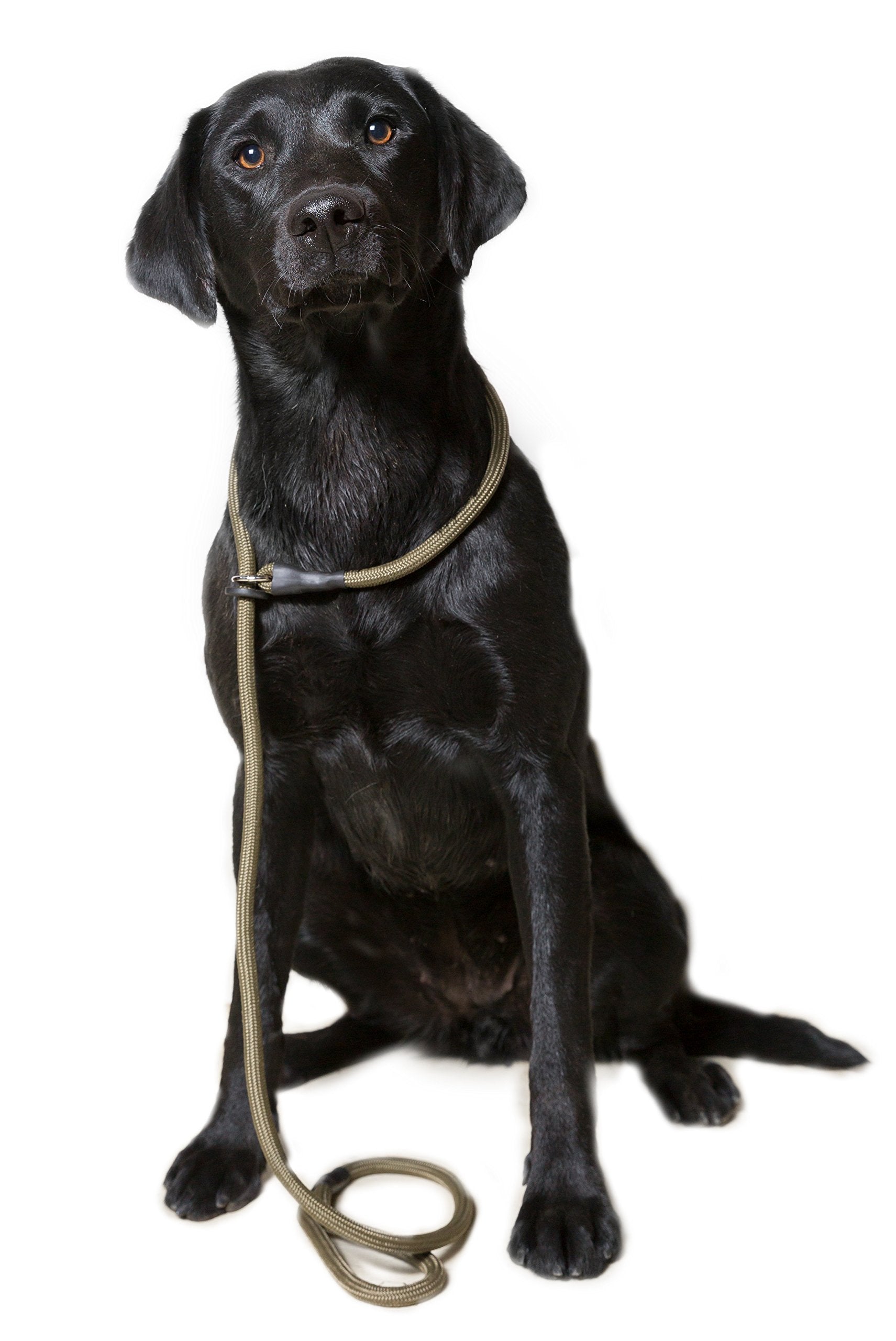 Dog & Field Deluxe Gundog Slip Leash - Green. Super Soft Braided Nylon Slip Leash For Dogs With Rubber Stopper, Easy To Slip On, No Collar Or Harness Needed. One Size Fits All Training Leash For Dogs