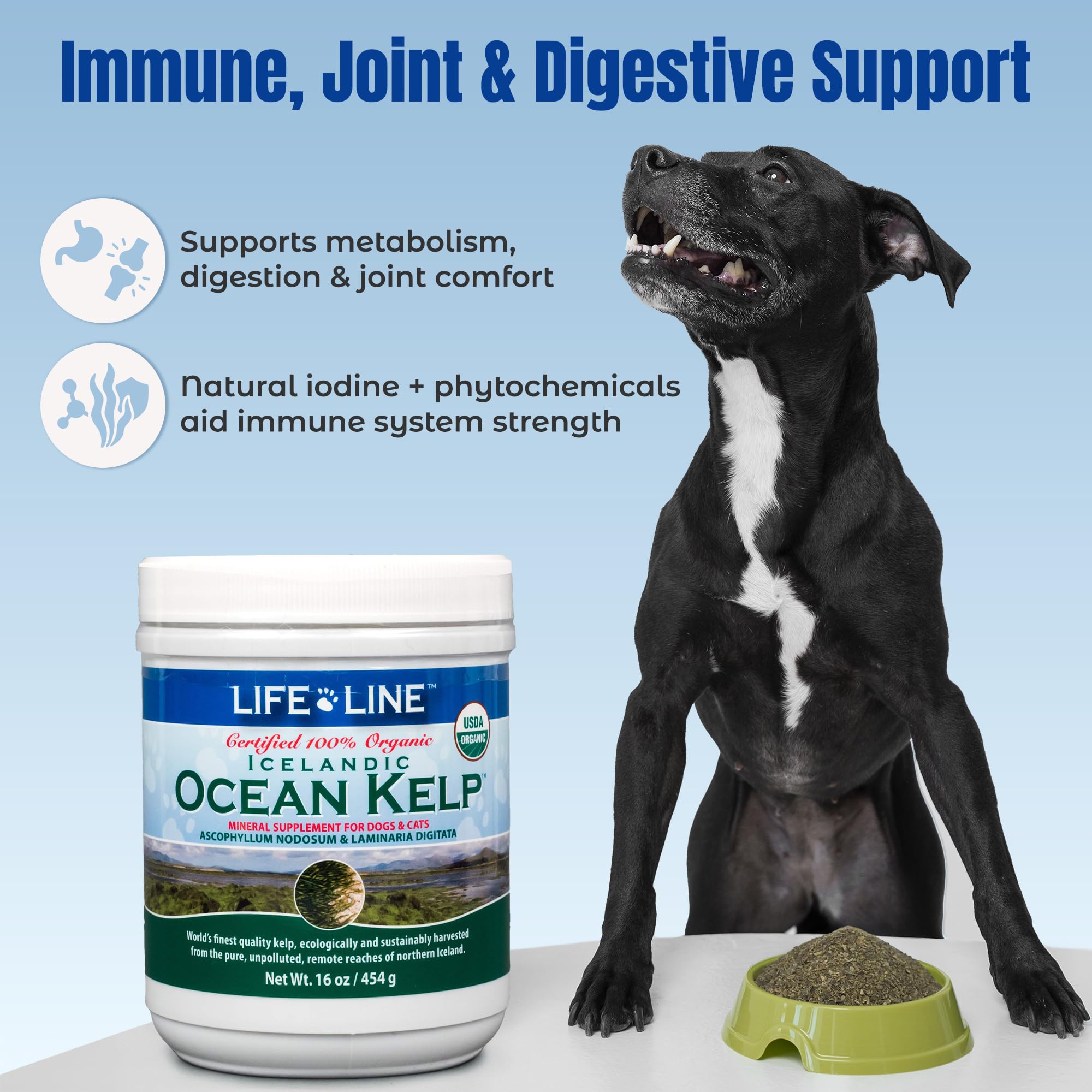 Life Line USDA Certified Organic Ocean Kelp for Pets & Livestock | Supports Skin & Coat Health, Immune Function, and Dental Hygi
