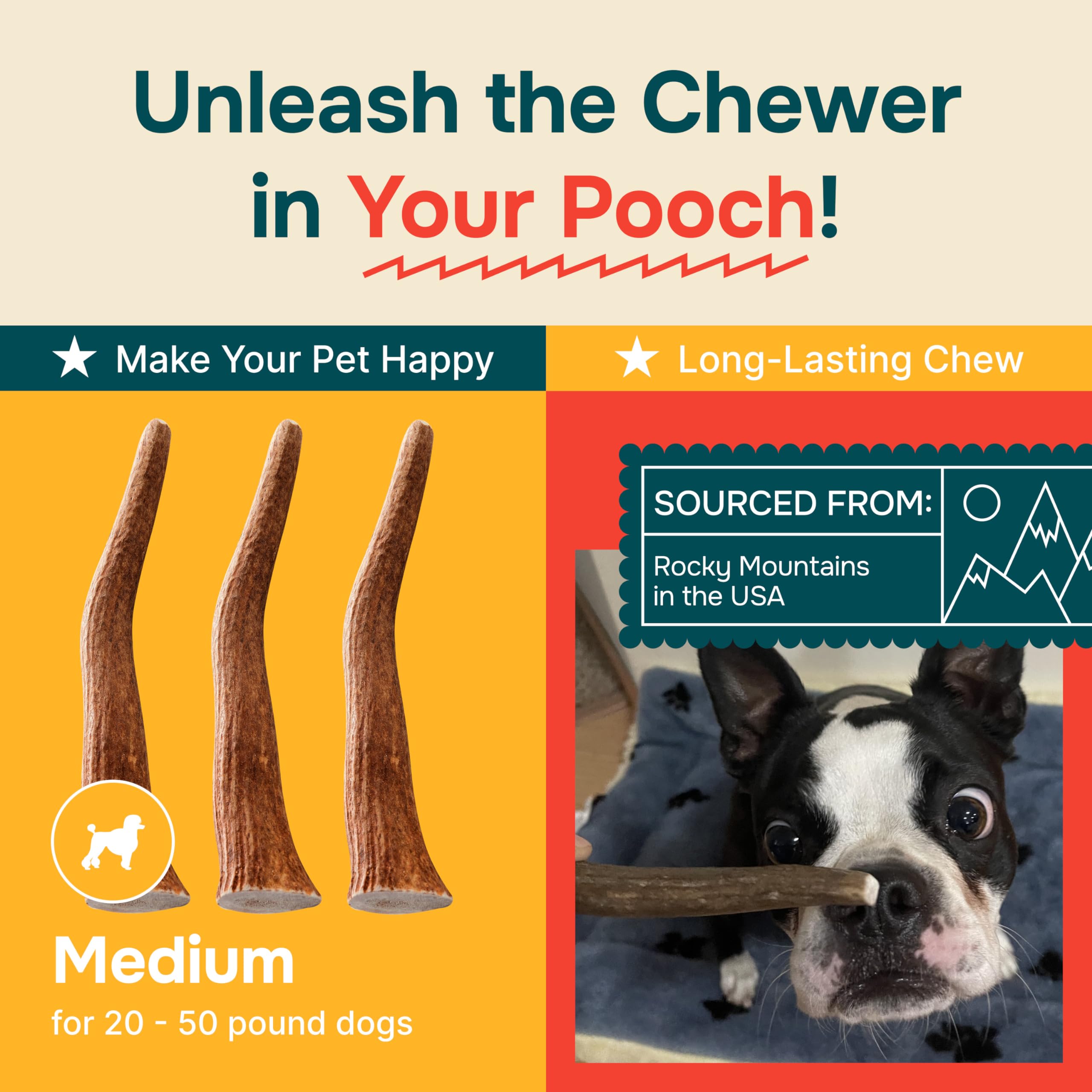 100% Natural - Elk Antlers for Dogs (3 Pack) - Chewers - Naturally Shed in USA - Dog Antler Chews for Medium Breeds - Natural, L