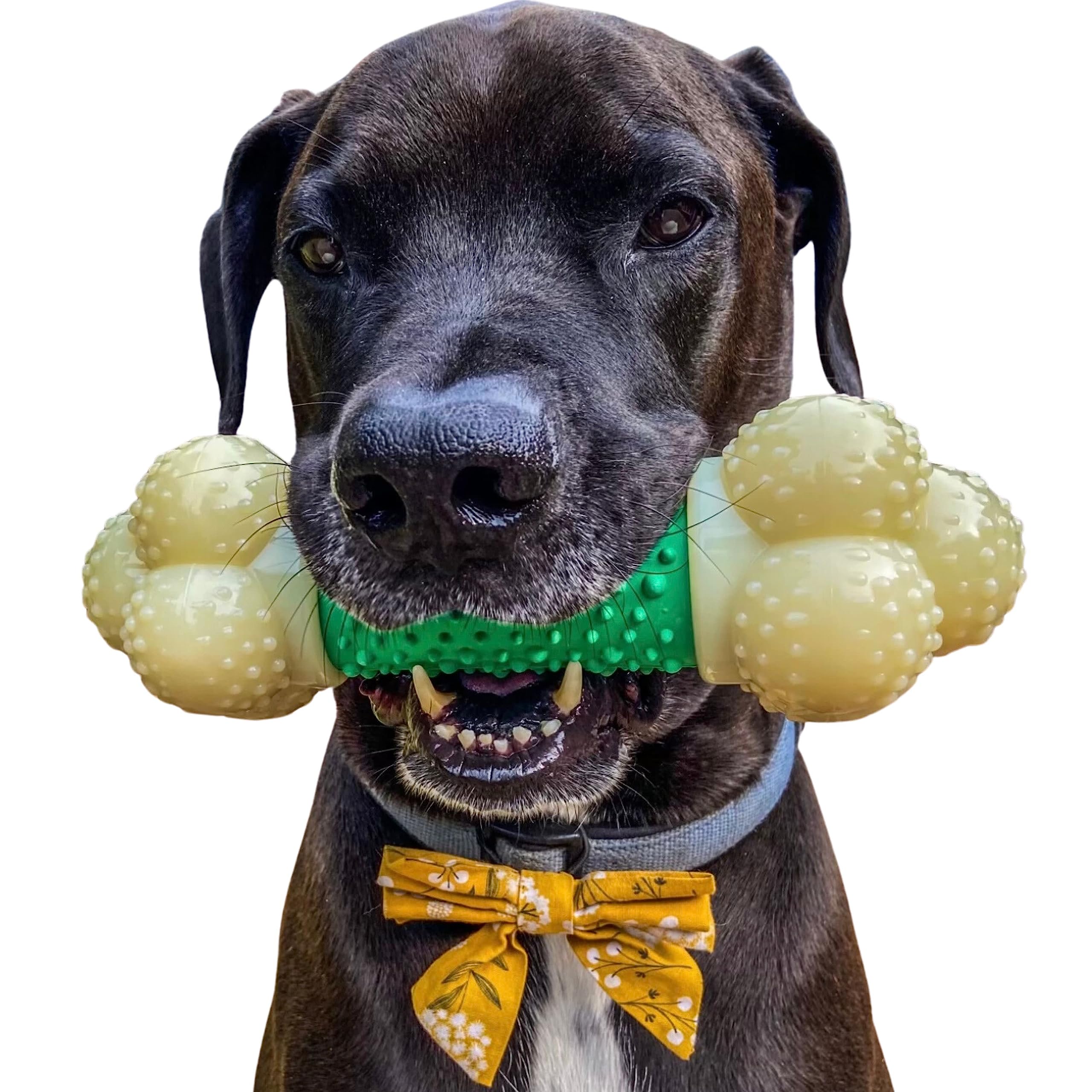 Nylabone Power Chew Double Action Barbell Bone Chew Toy, Durable Dog Toy, Bacon Flavor, X-Large/Souper (1 Count)