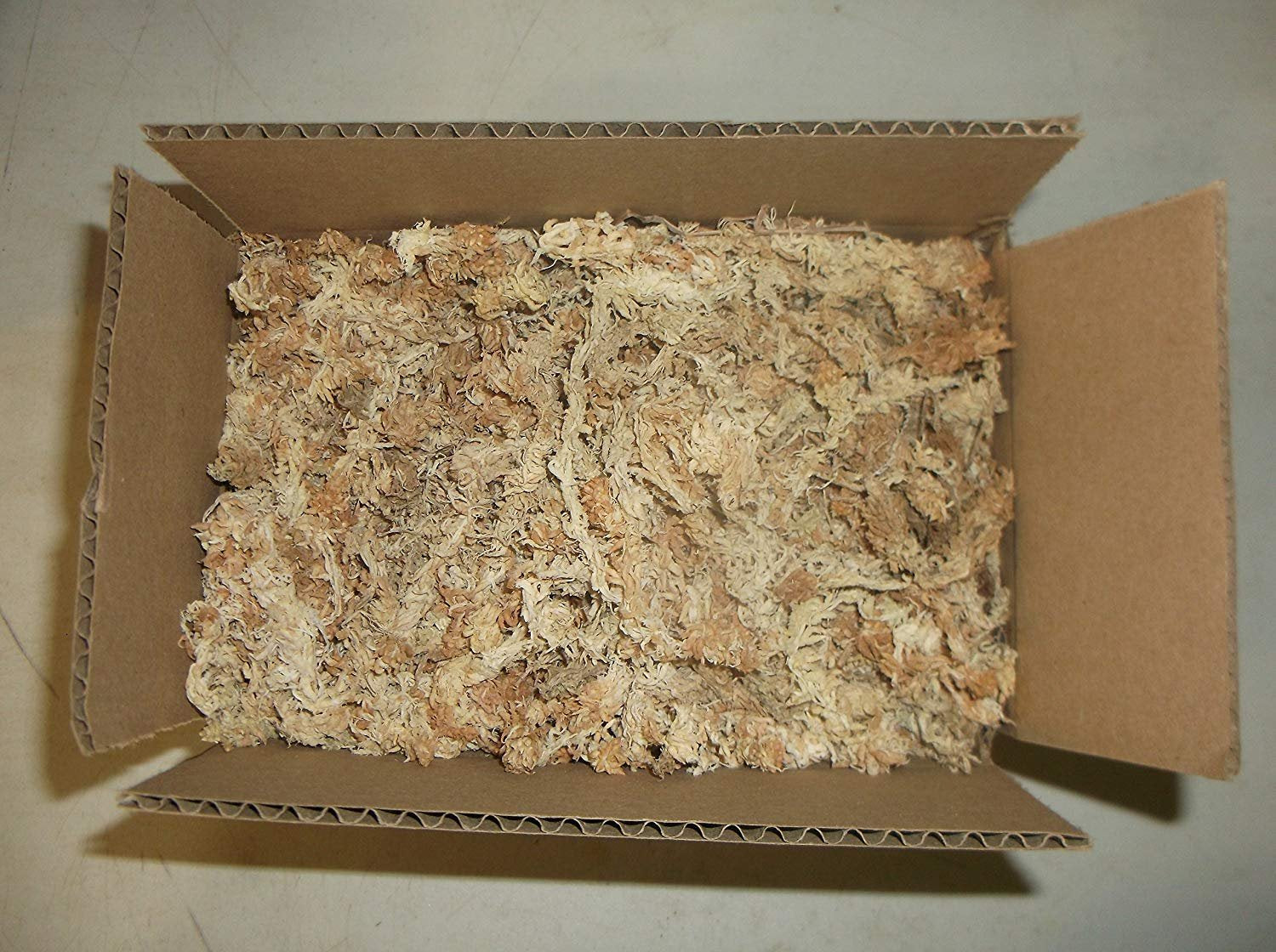 4.5 Ounces Of New Zealand Sphanight Vision
