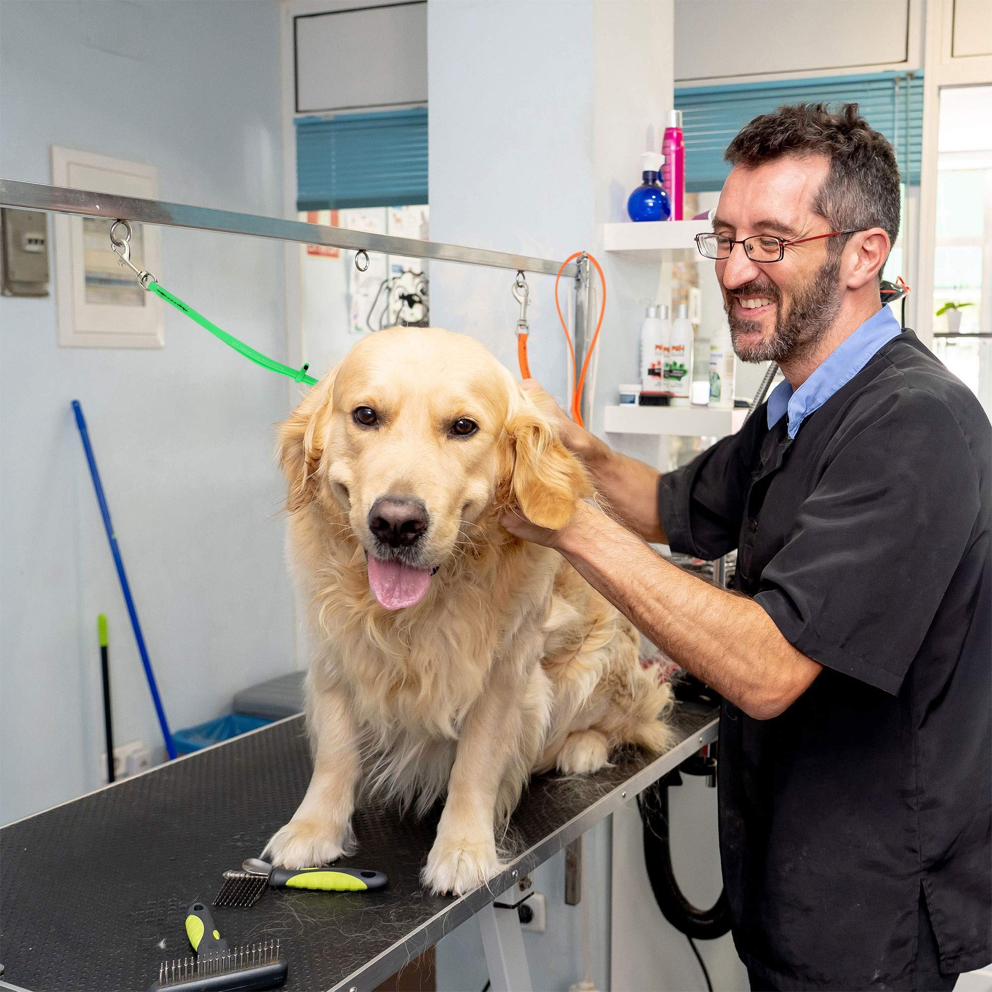 Jelly Pet Grooming Loop For Dogs | Fits Most Pet Grooming Tubs/Tables | Easy To Clean, Waterproof & Durable Noose Loop | Stronge