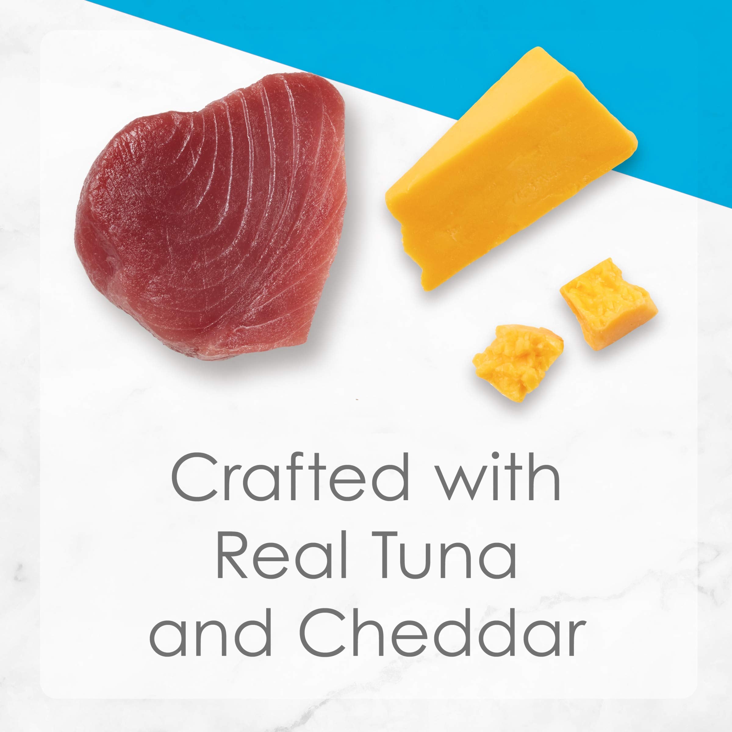 Purina Fancy Feast Delights With Cheddar Grilled Tuna and Cheddar Cheese Feast in Wet Cat Food Gravy Cat Food - (Pack of 24) 3 o