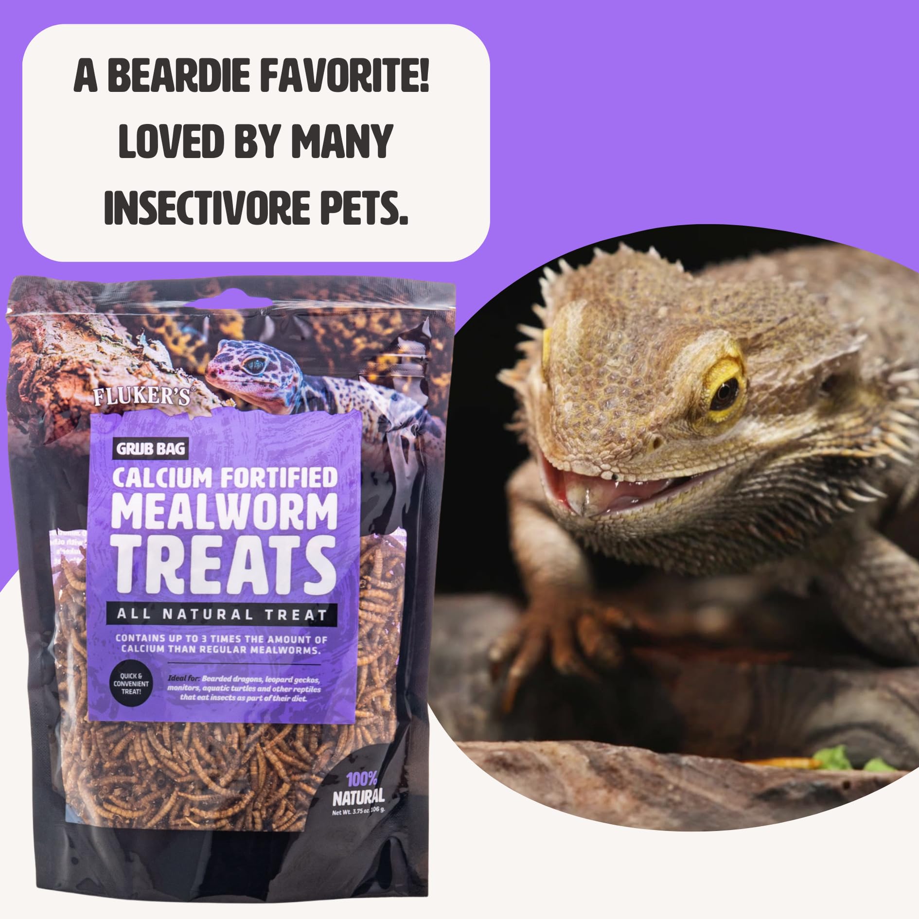 Flukers Grub Bag Calcium Fortified Mealworm Treats for Reptiles