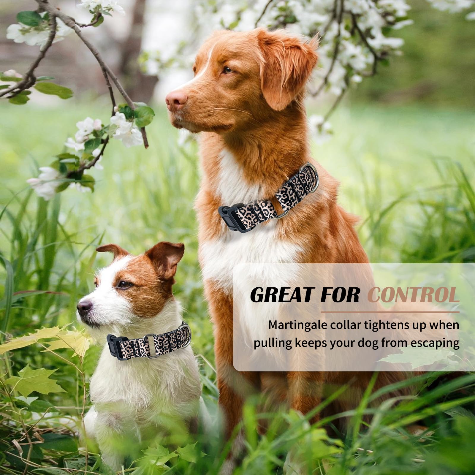 Hikiko Martingale Collar For Dogs Classic Leopard Dog Collar For Small Medium Large Dogs Durable Escape Proof Dog Collars (Leopa