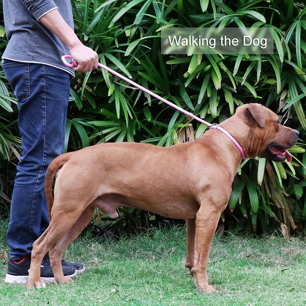 Grand Line Slip Lead Dog Leash, 5Ft Reflective Slip Rope, Puppy Training Walking Controlling Lead, Slip Collar Pet Leash For Small, Medium, Large Dogs (Pink, Large-3/5In X 5Ft)