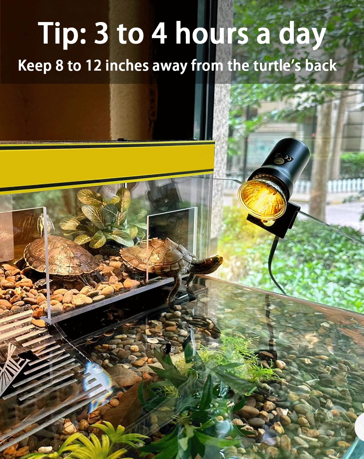 RAGFOZ 25W Turtle Reptile Heat Lamp Bulb, UVA UVB Reptile Light Bulb for Turtle Tank, Fits Reptiles and Amphibian Tanks, Terrari